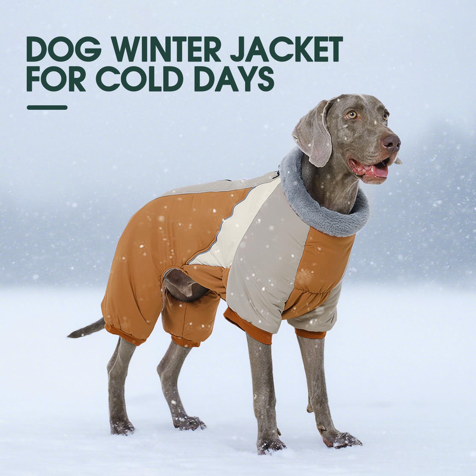 Kuoser manteau-chien-manches-quatre-pattes protège torse et pattes en hiver.
