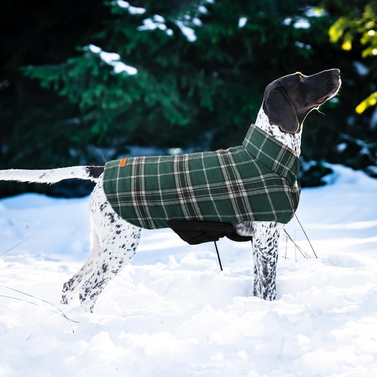 Kuoser manteau chien motif plaid vintage vert – style hivernal