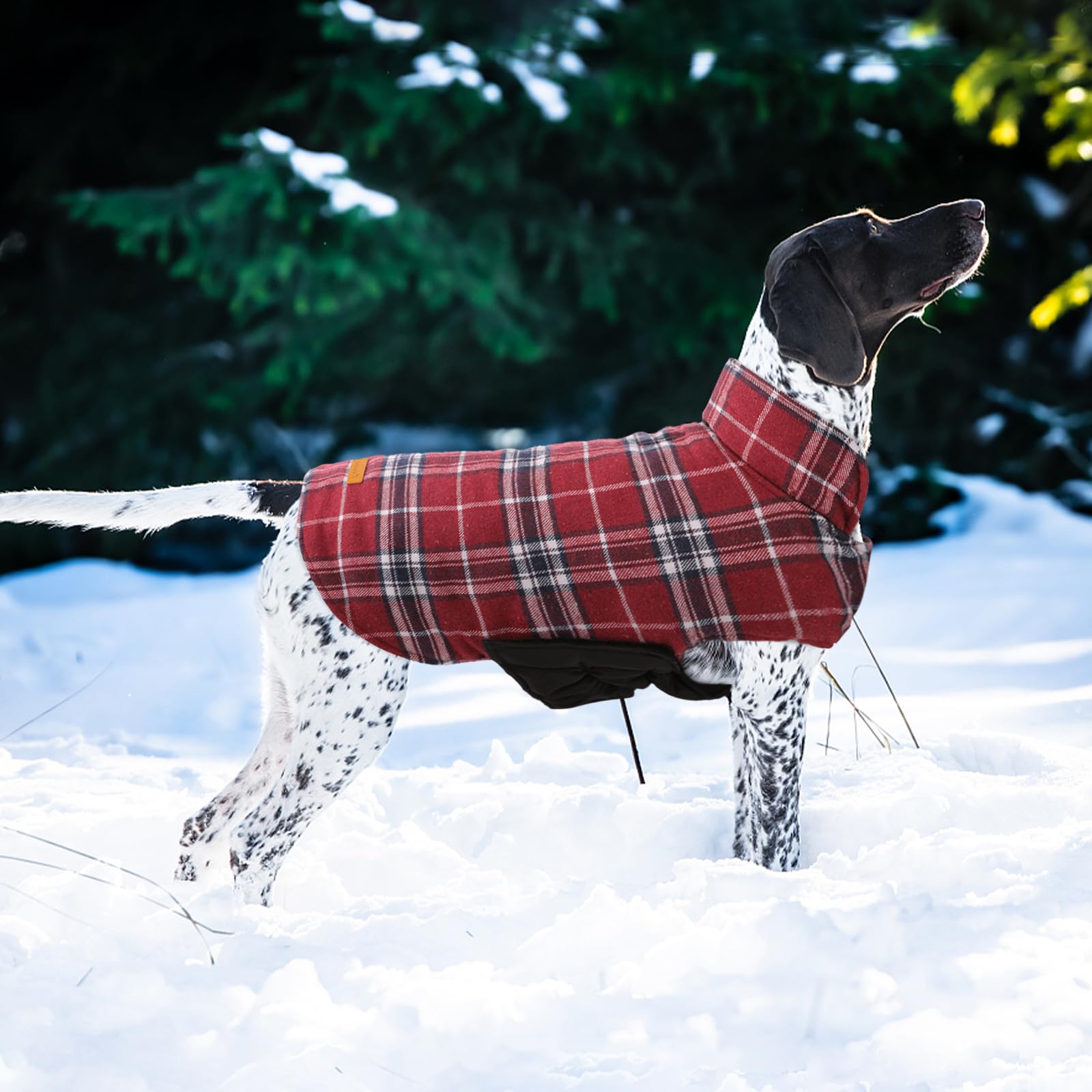 Manteau Kuoser motif plaid britannique, vue extérieure hivernale.
