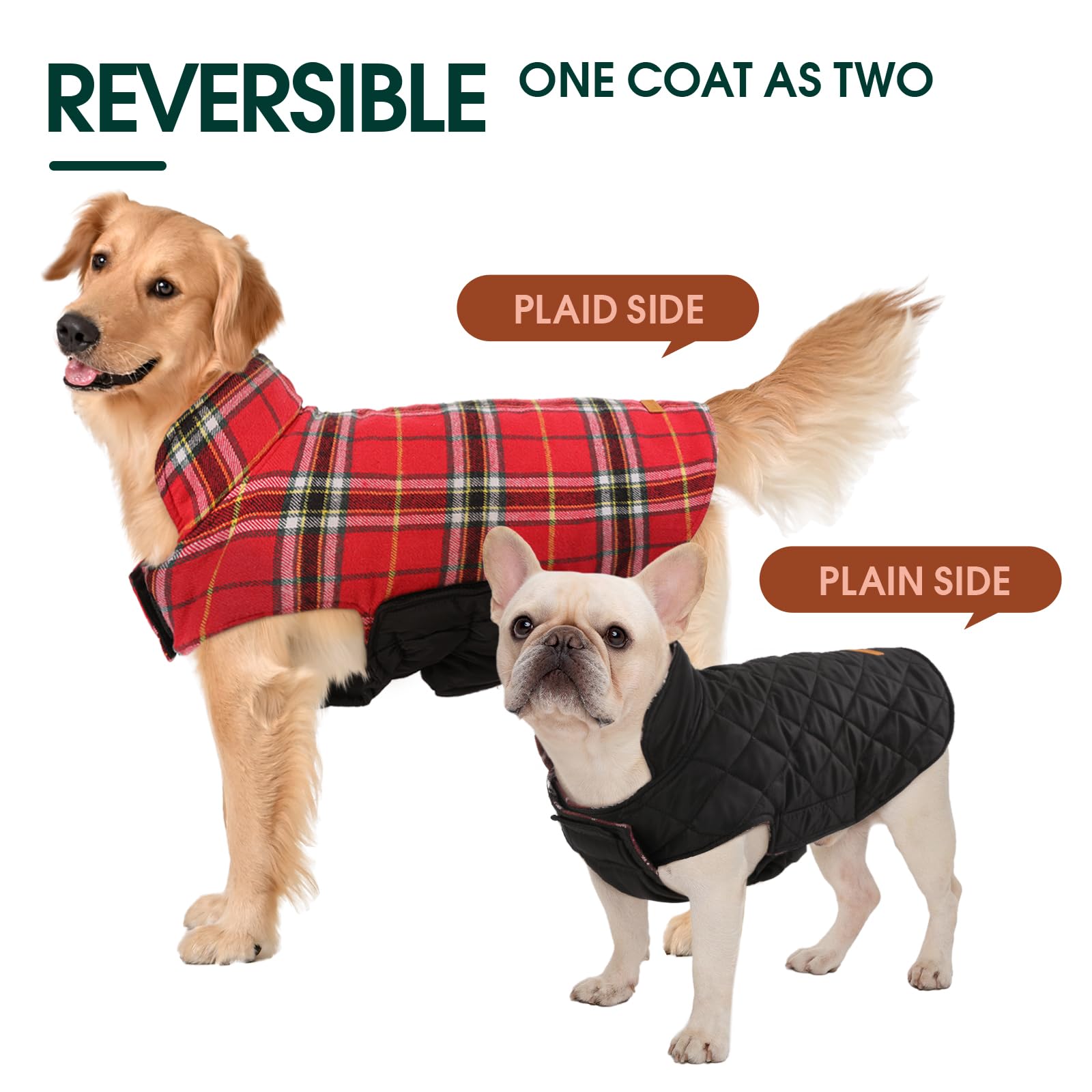 Gilet pour chien Kuoser ajustable, plastron elastique pour le confort.