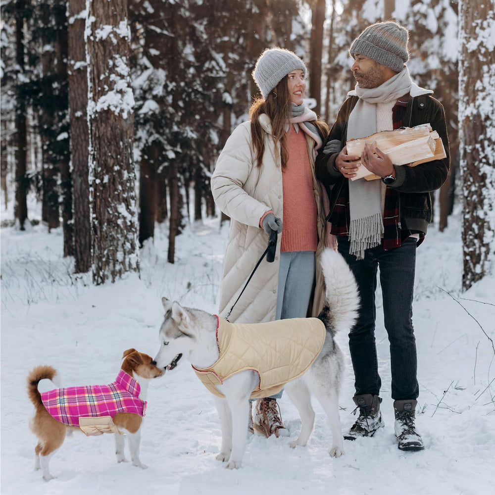 Kuoser manteau chien poitrine élastique pour plus de confort.