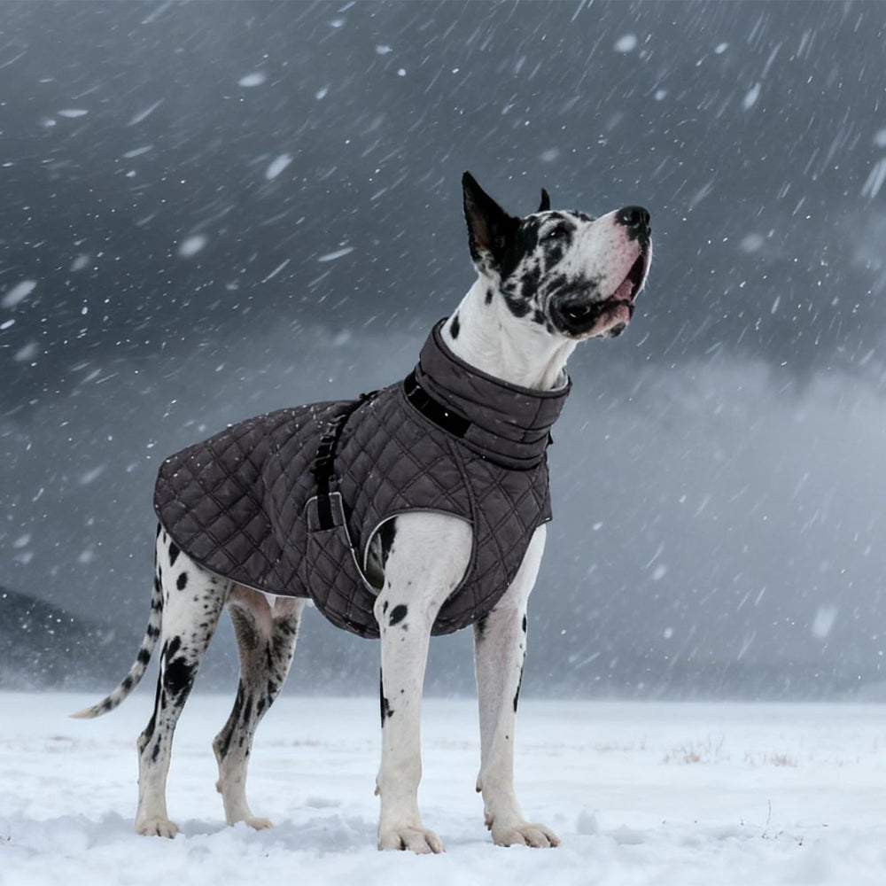Manteau Kuoser polaire, douceur et chaleur en plein air.