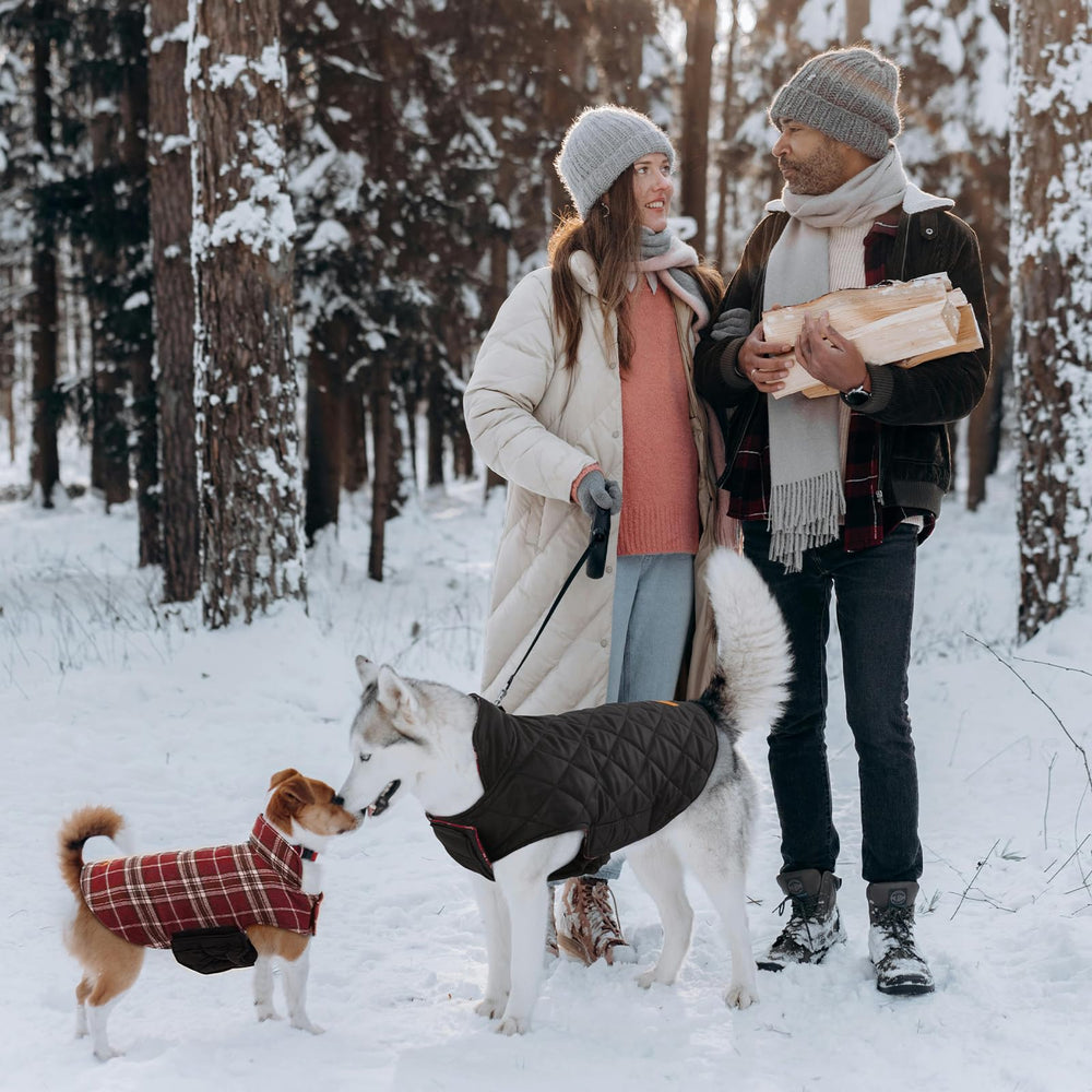 Manteau Kuoser pour promenade hivernale, vue d’ensemble pratique et fonctionnelle.