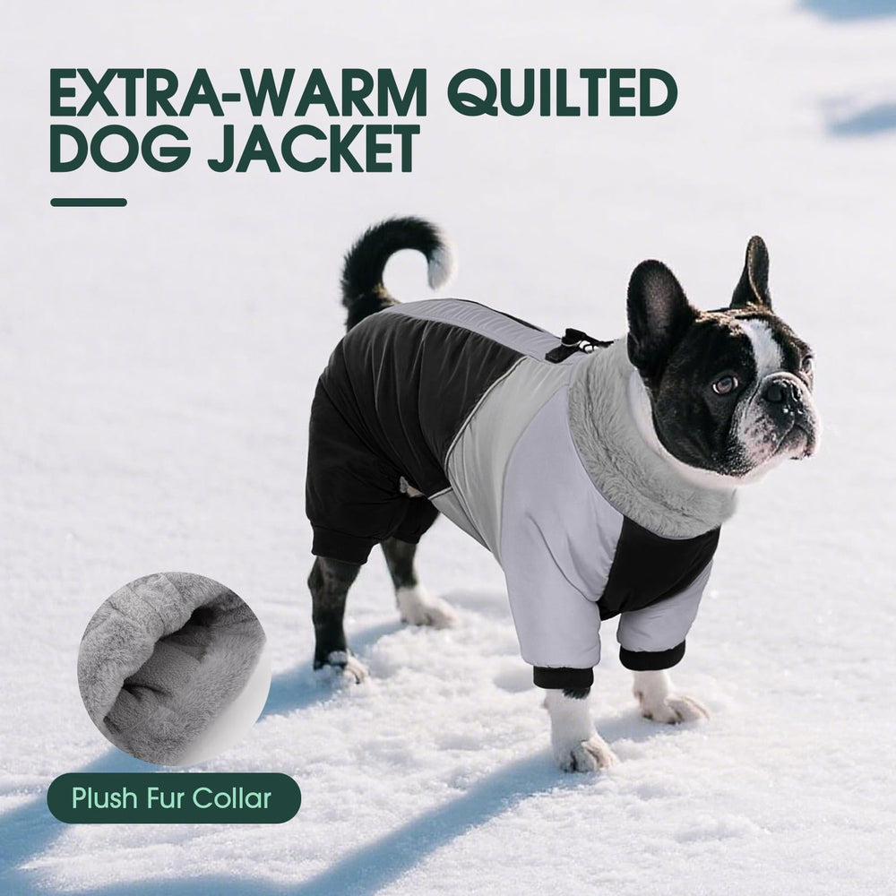 Kuoser manteau-chien-reglage-elasticite: ajustement personnalise et confort durable.