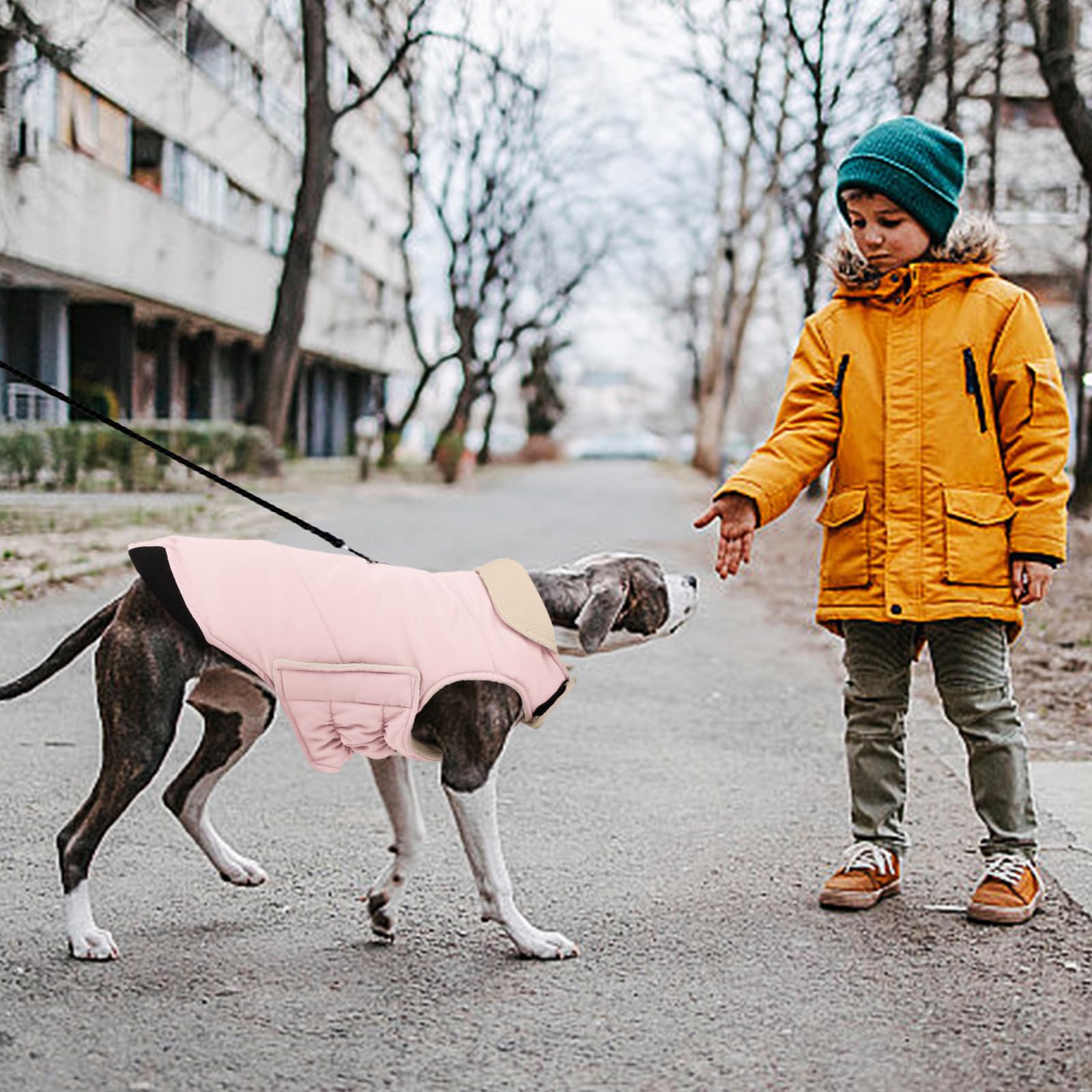 Kuoser manteau chien, ajustement facile pour toutes les tailles et activités hivernales.