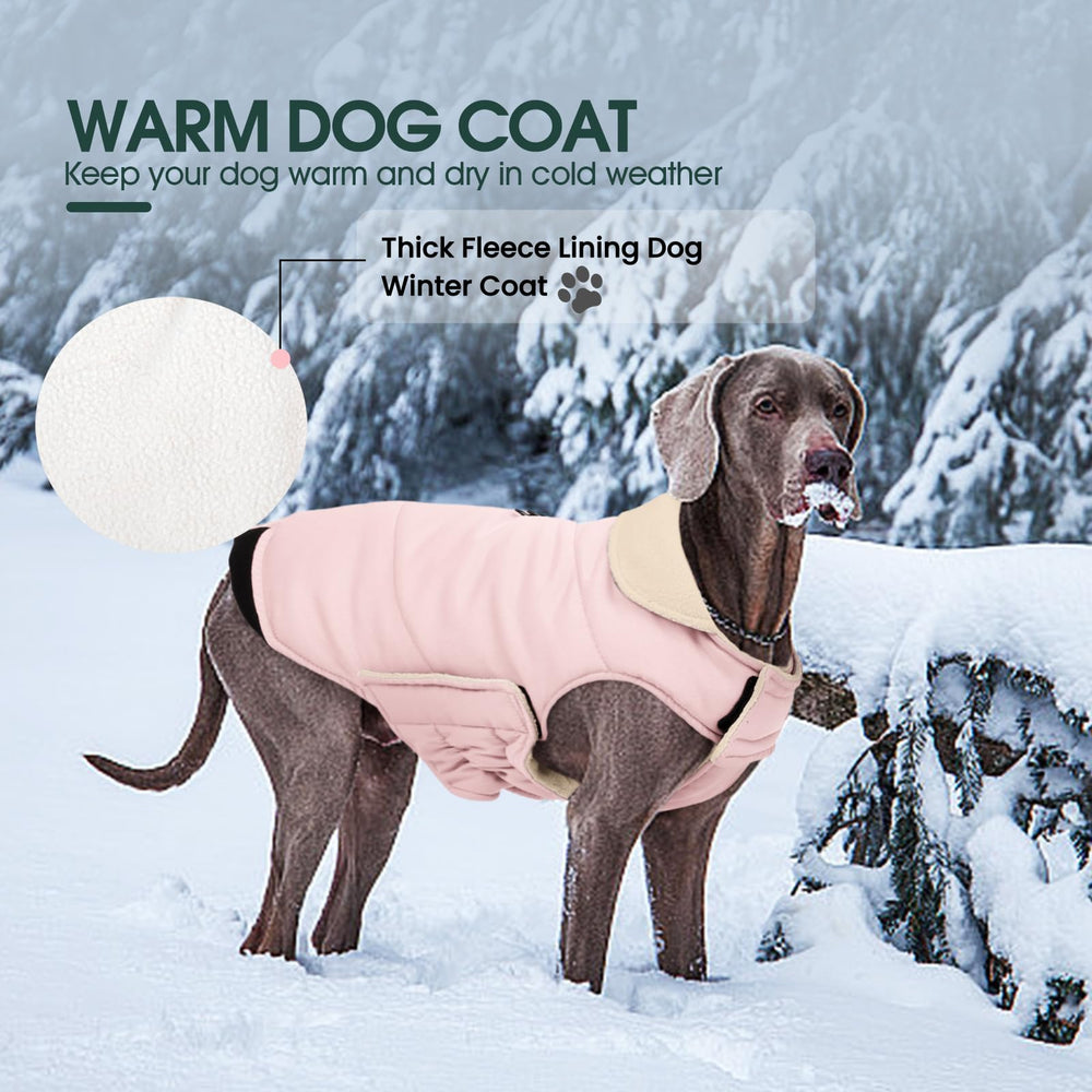 Kuoser manteau chien, fermeture éclair dorsale et accès harnais pratique.