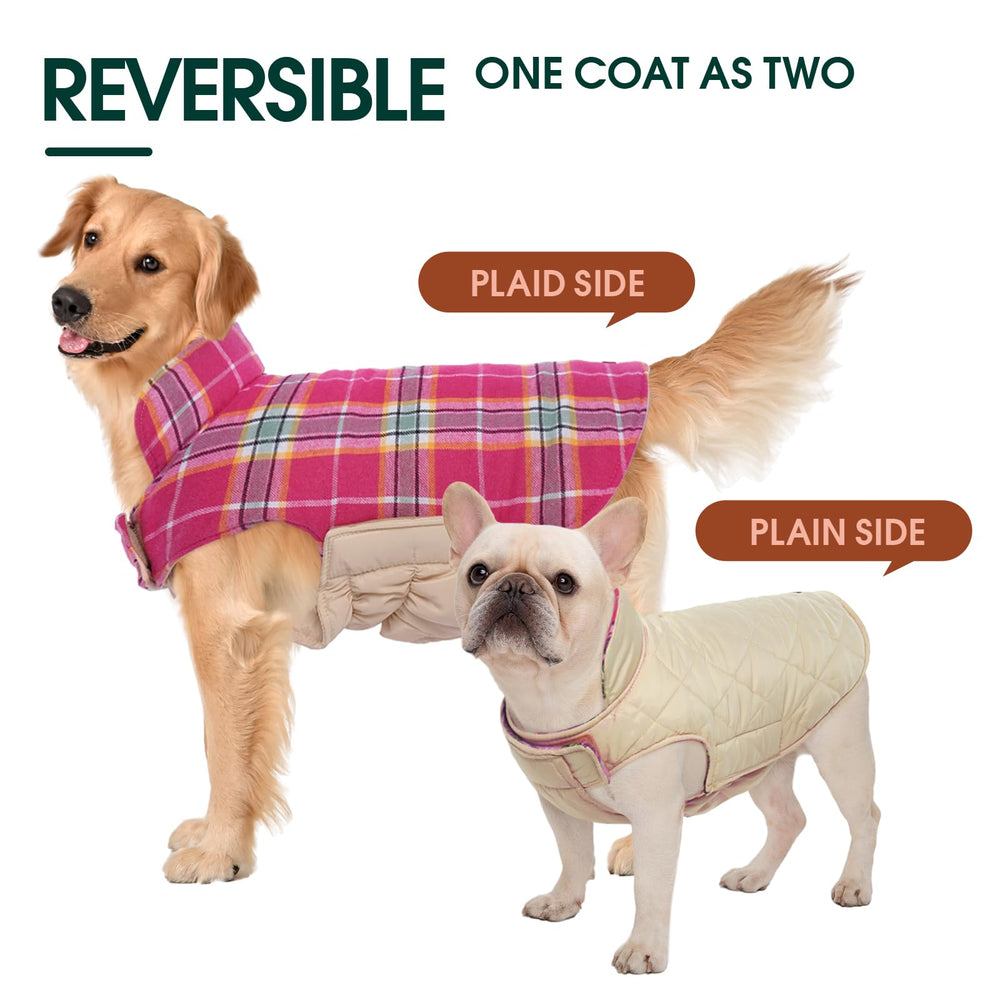 Kuoser manteau chien avec trou pour laisse sur le dos, pratique et sûr.