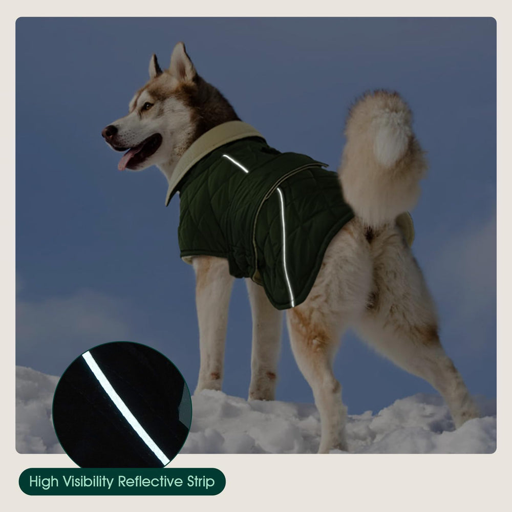 Kuoser Manteau Chien Thermique – couleur vert facile à repérer lors des sorties.