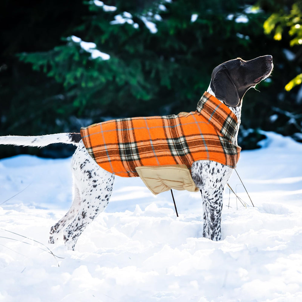 Manteau d hiver pour chien Kuoser idéal pour les activités en plein air.