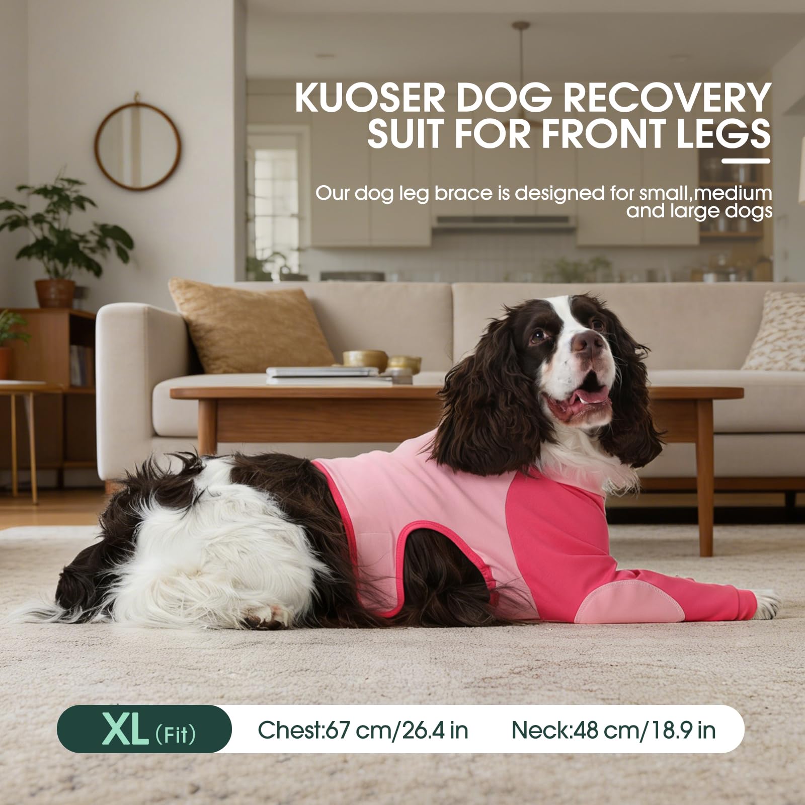 Kuoser matériau elastique durable suit les mouvements du chien.