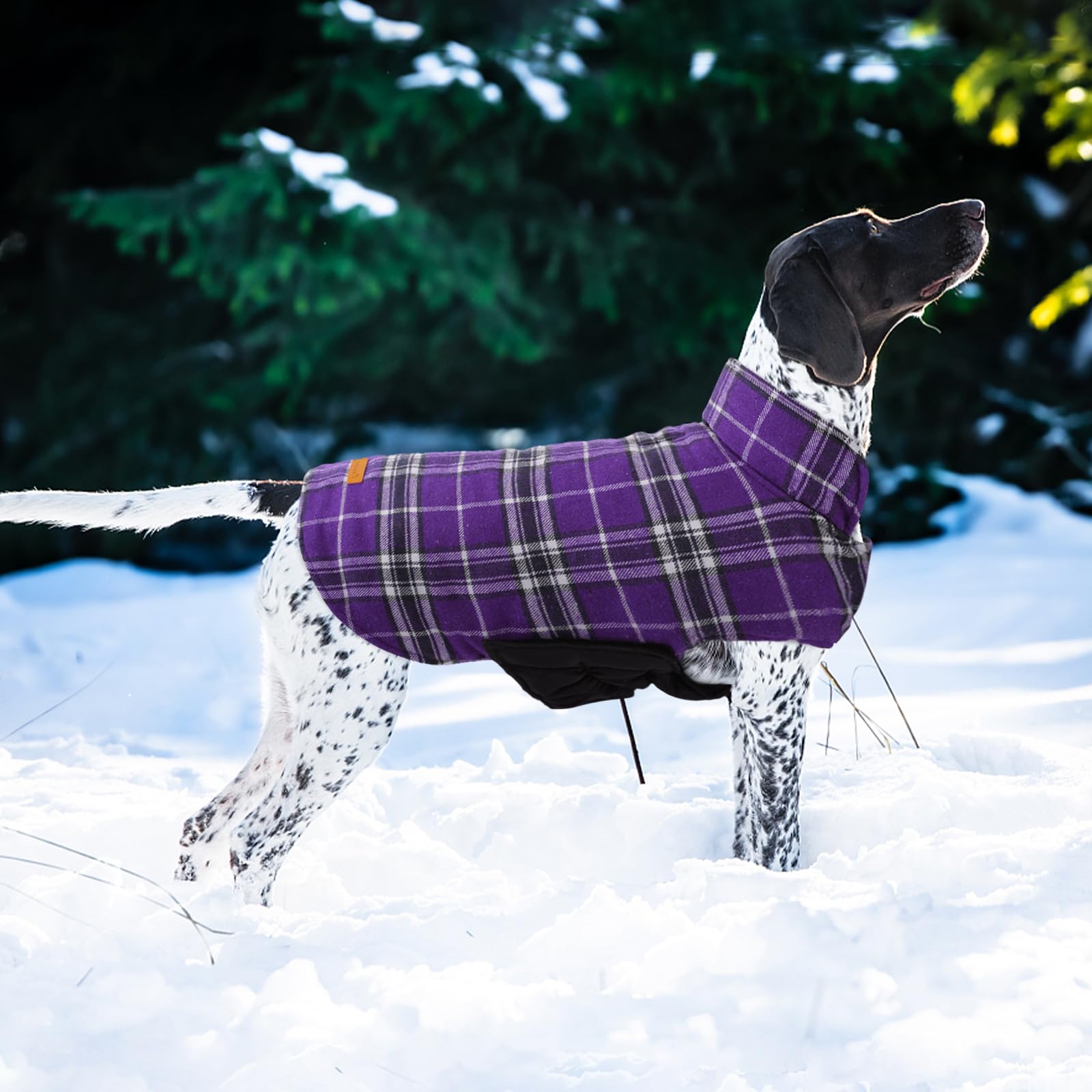 Kuoser motif plaid britannique, style élégant pour l hiver.