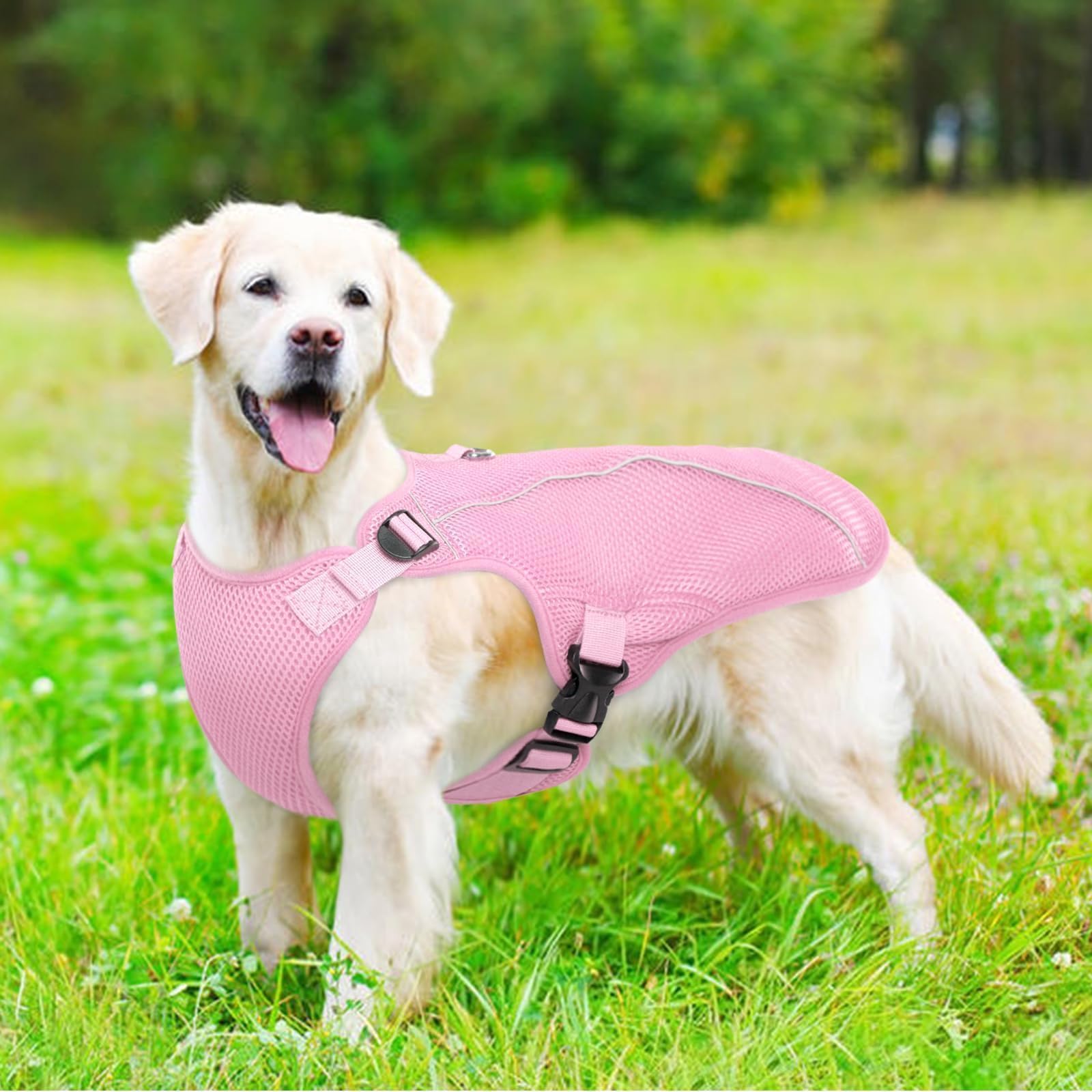 Veste Kuoser rose sur la plage, promesse de fraîcheur et sécurité pendant les sorties.