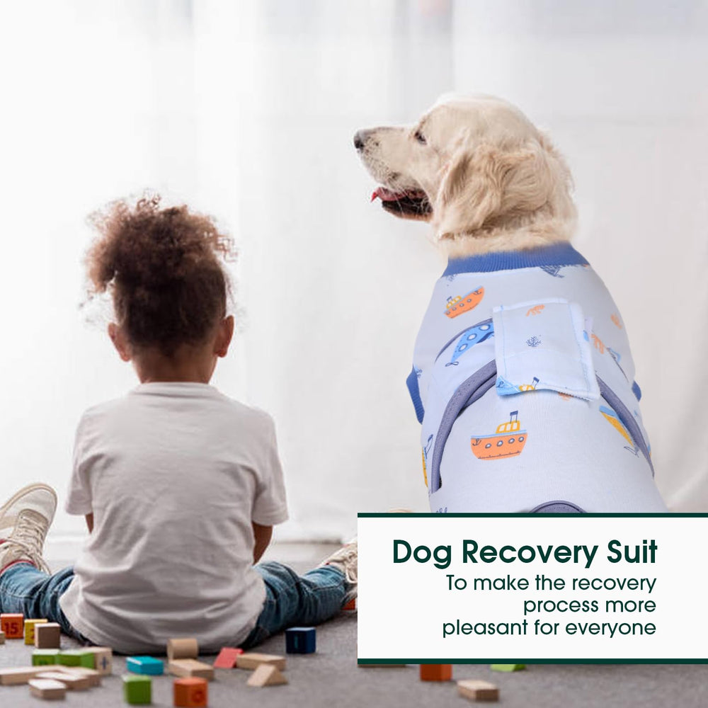 Kuoser-protection-plaie crée une barrière légère contre les irritations.