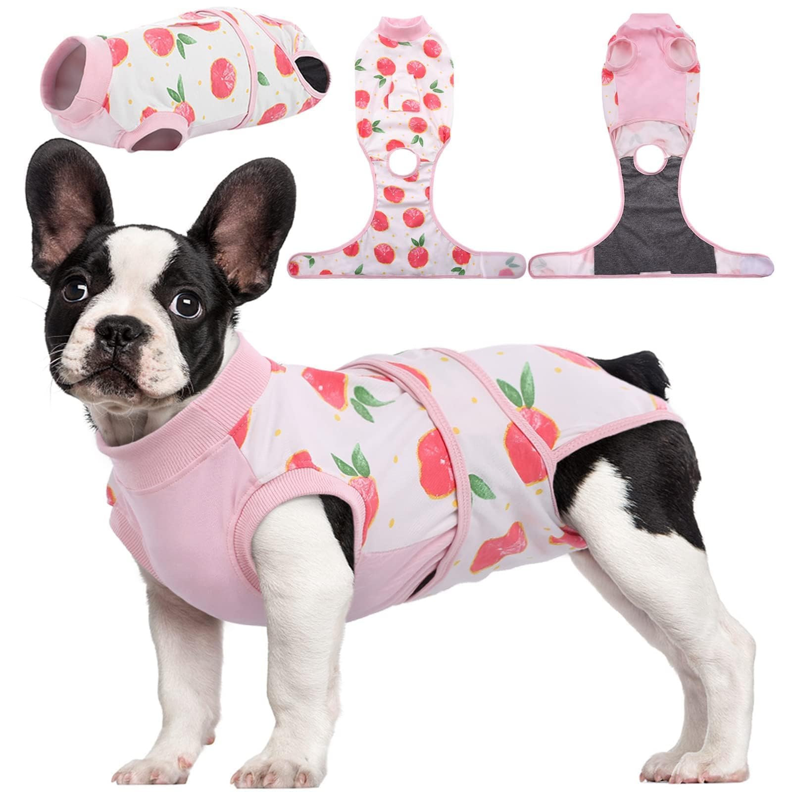 Kuoser Recovery Suit chien-dos: confort doux pour récupération après chirurgie.