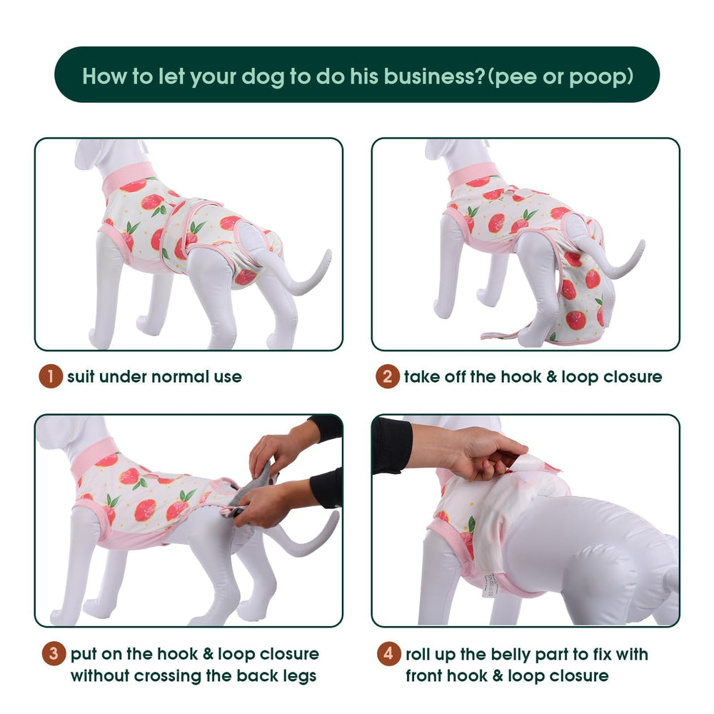 Kuoser Recovery Suit chien-ventral: pratique et léger après chirurgie.