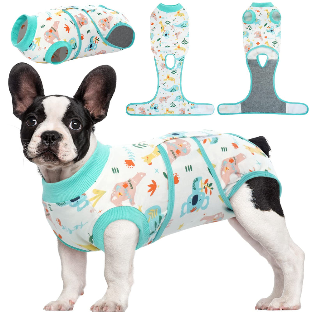 Kuoser Recovery Suit – protection-abdomen après chirurgie pour chien.