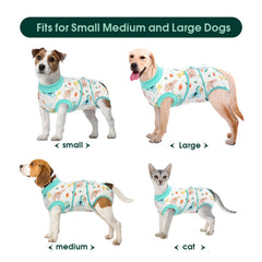 Kuoser Recovery Suit – remplacement-cone, mobilité facilitée pour votre animal.