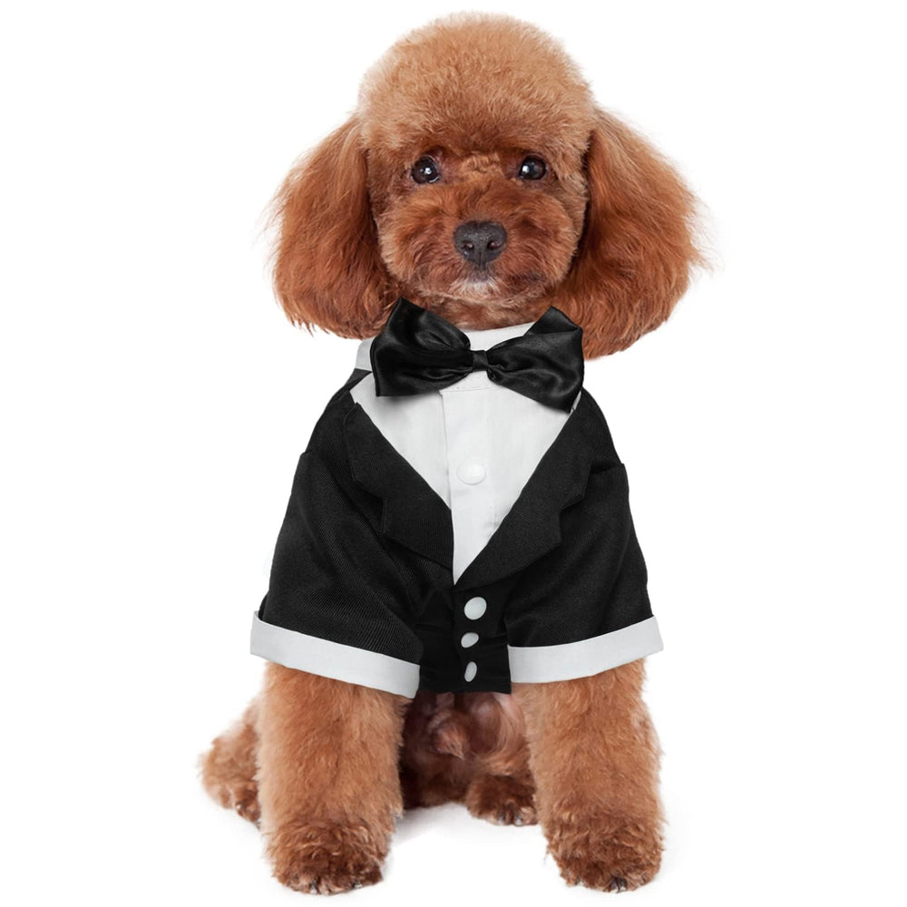 kuoser smoking chien noir avec boutons, fermeture facile et allure élégante