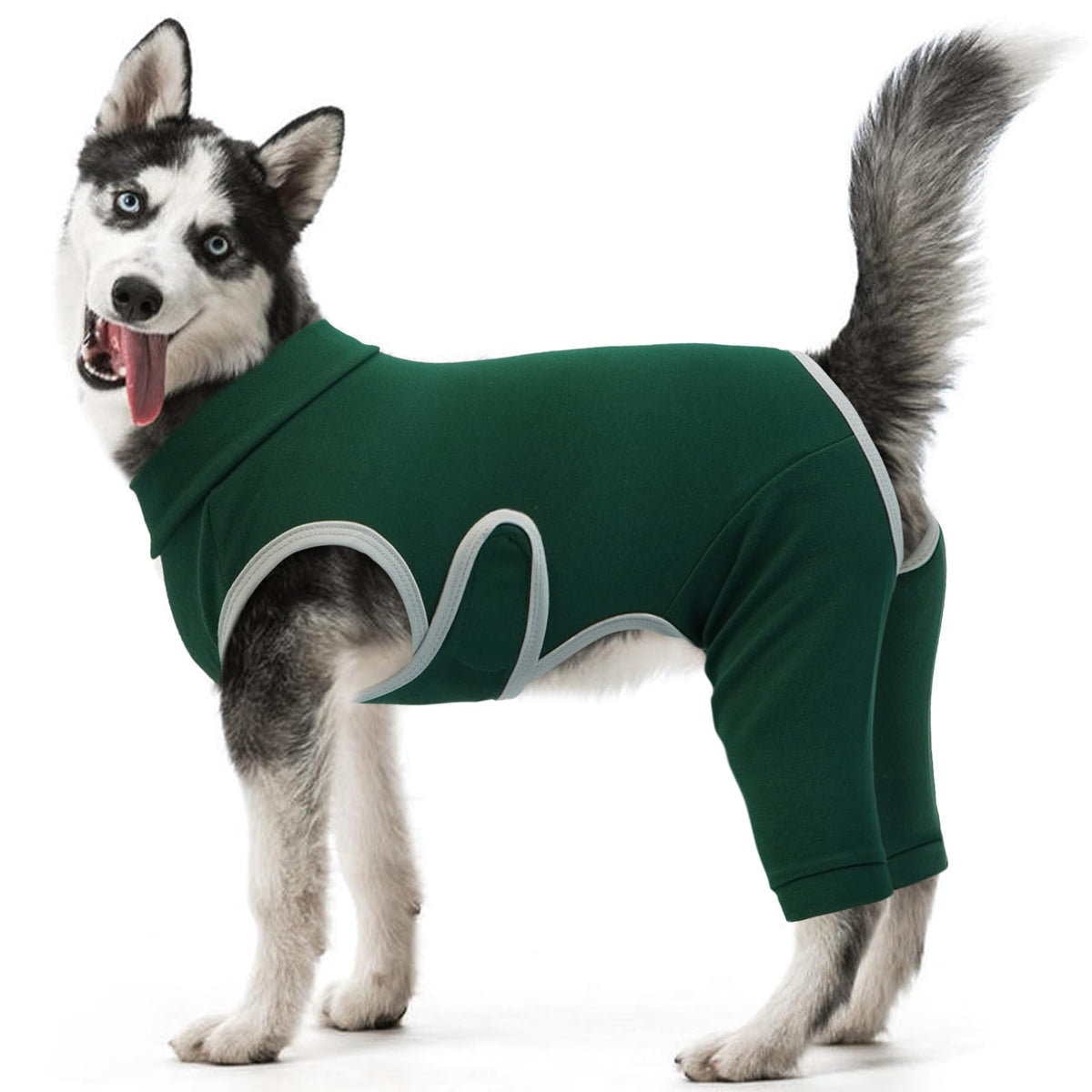 Kuoser patte-arriere protégée et liberté de mouvement pendant la récupération