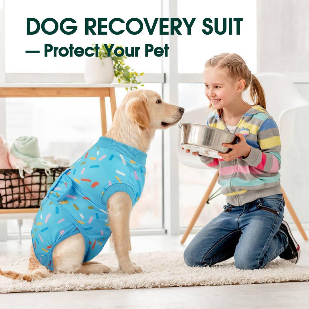 Kuoser Recovery Suit post-opération chien mâle, aide au confort lors du rétablissement.