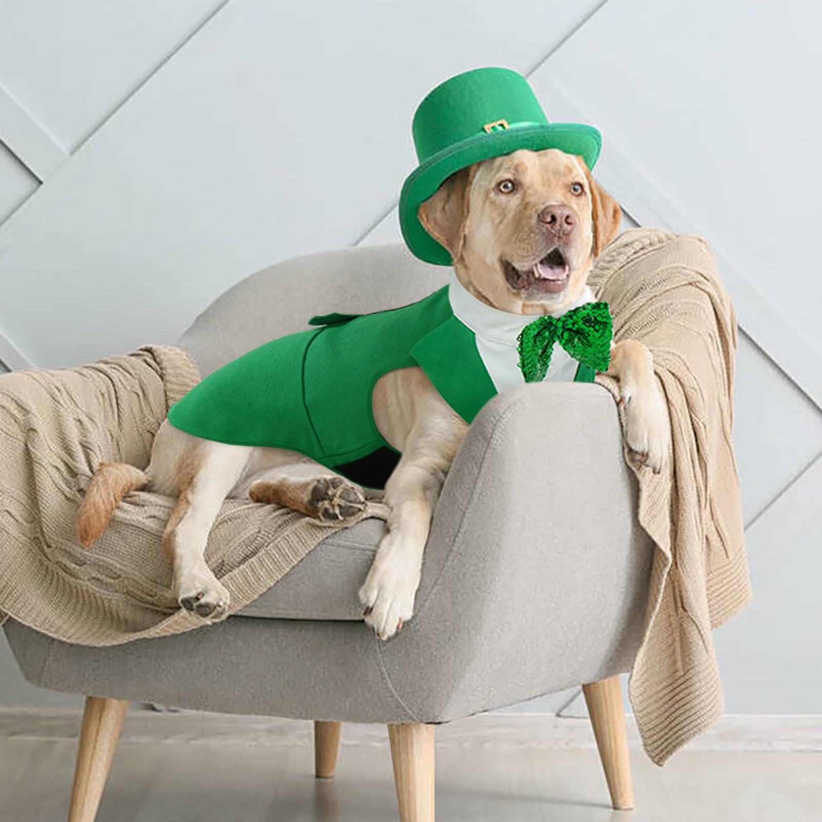 Costume Kuoser taille large pour chiens moyens et grands Saint-Patrick