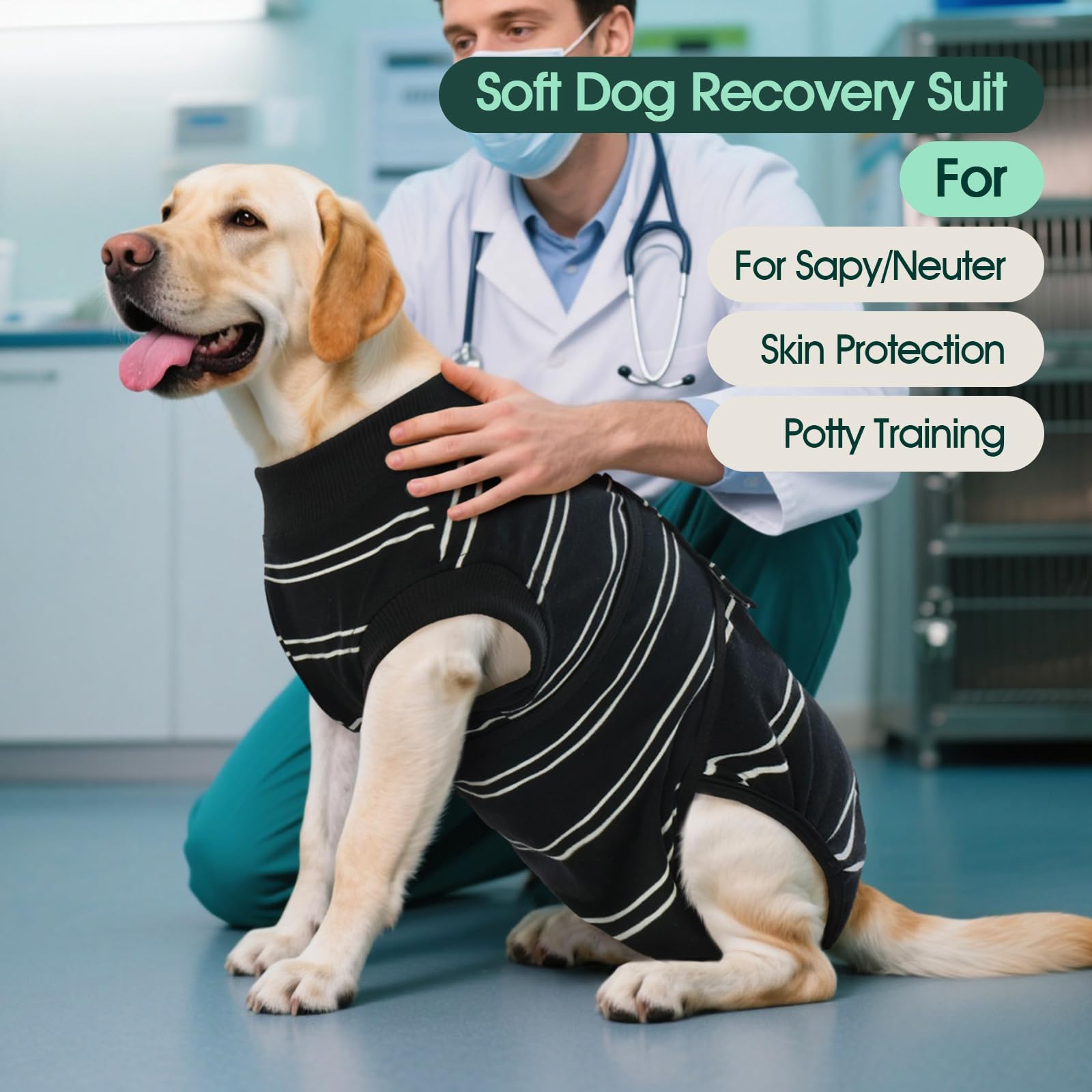 Kuoser tenue récupération chien aperçu : design et confort visibles.