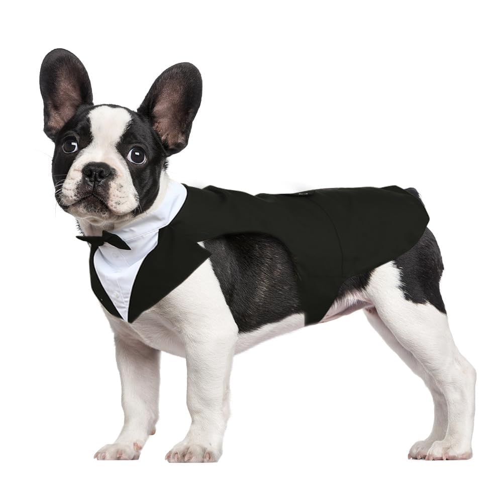 Kuoser Tuxedo Chien avec noeud papillon, parfait pour mariage et photo