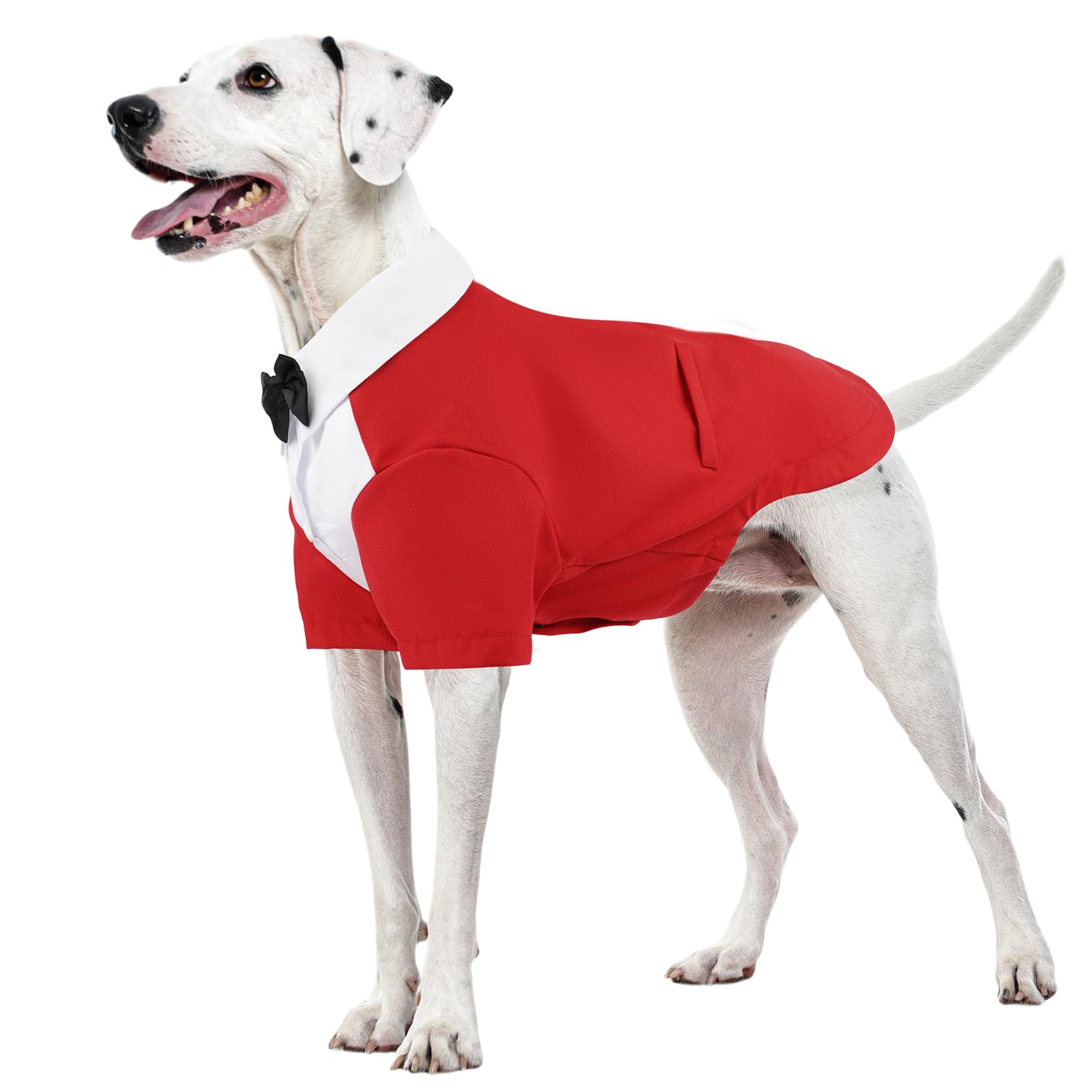 Kuoser tenue smoking pour chien noir avec revers satin, parfaite pour séance photo formelle.