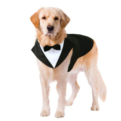 Kuoser tuxedo pour chien, costume élégant parfait pour fêtes et mariages.