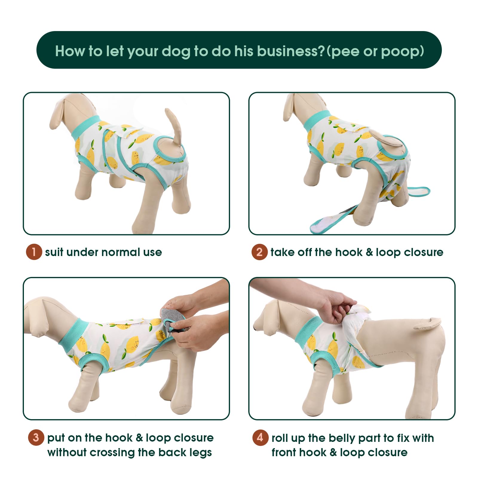 Kuoser utilisation après chirurgie chien montre le vêtement.