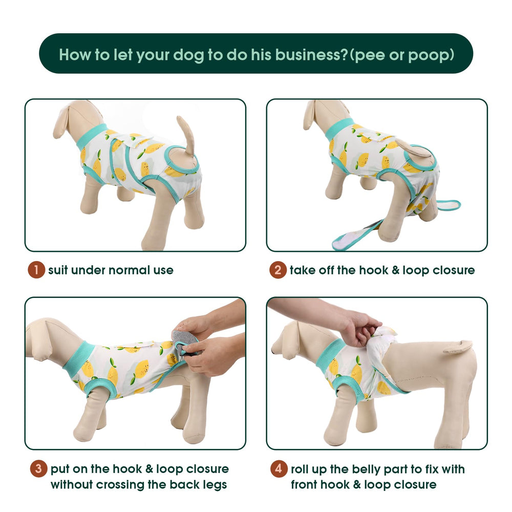 Kuoser utilisation après chirurgie chien montre le vêtement.