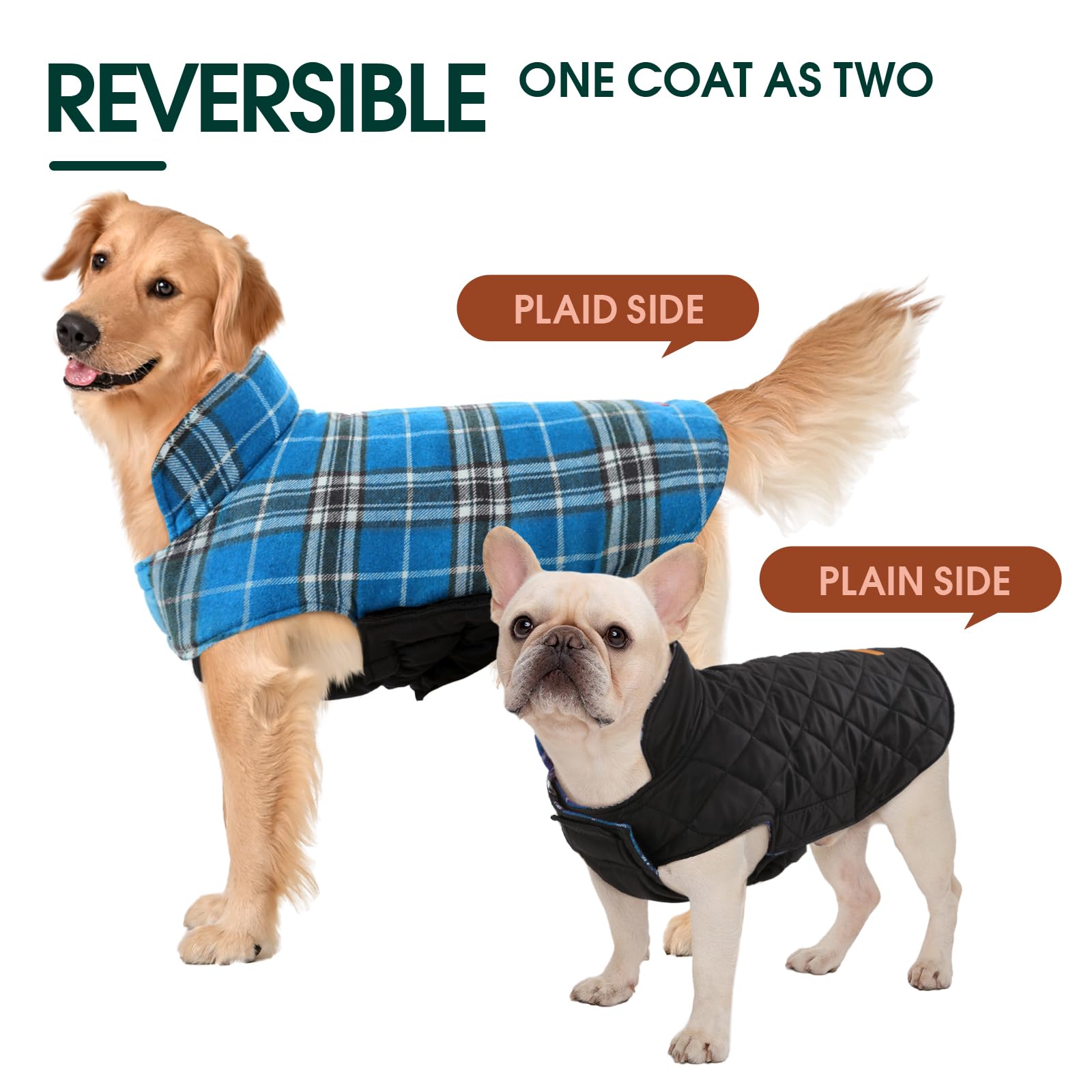 Kuoser veste chien hiver trou pour laisse a l'arriere facilite les promenades.