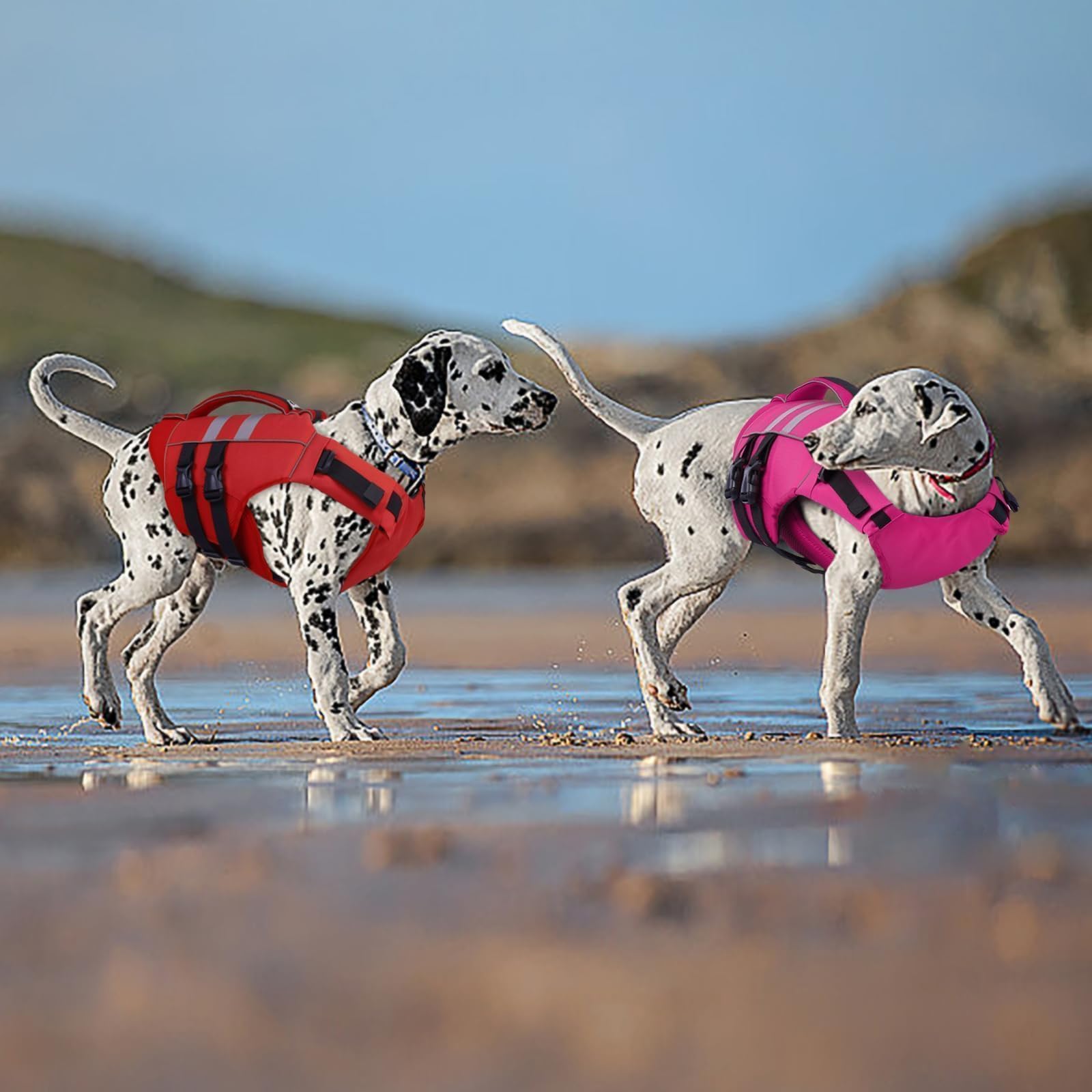 Kuoser XL gilet de sauvetage pour chien, mousse flottante et rembourrage pour flottabilité.