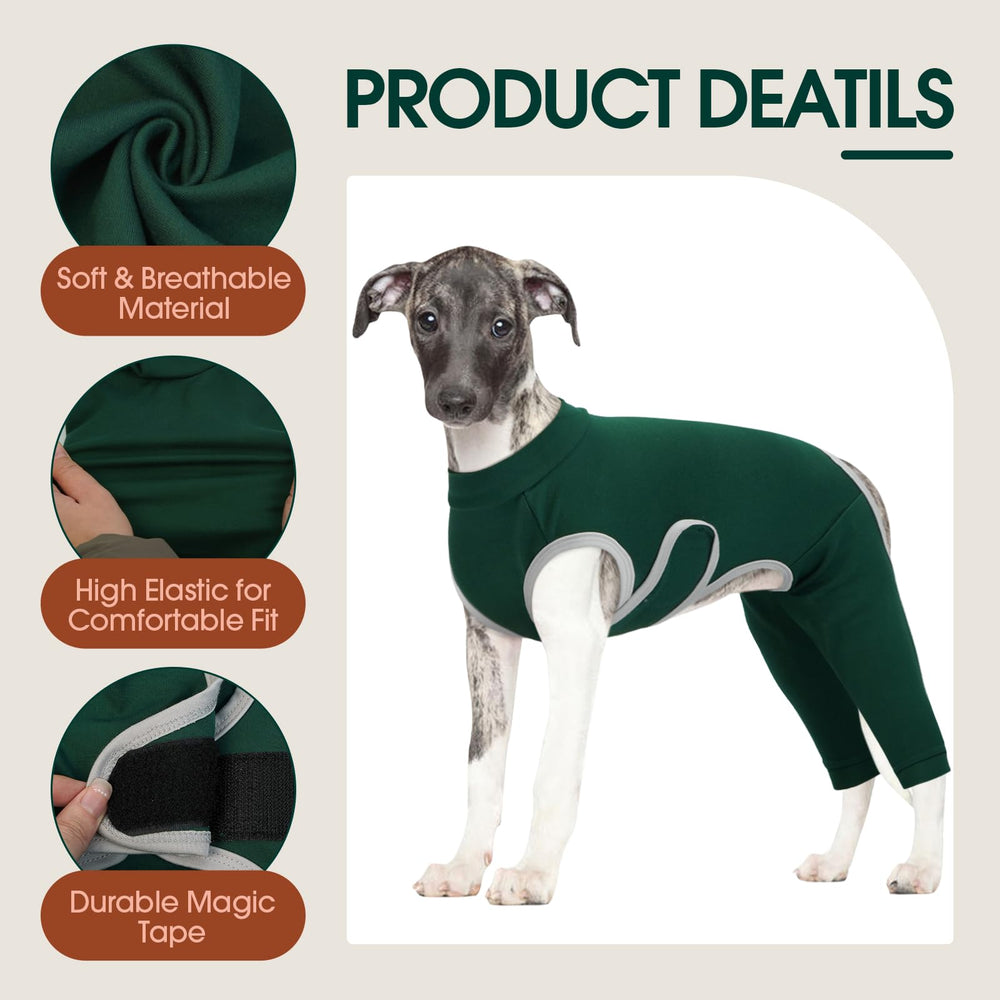 Kuoser vetement chien lavable: entretien facile et hygiène durable