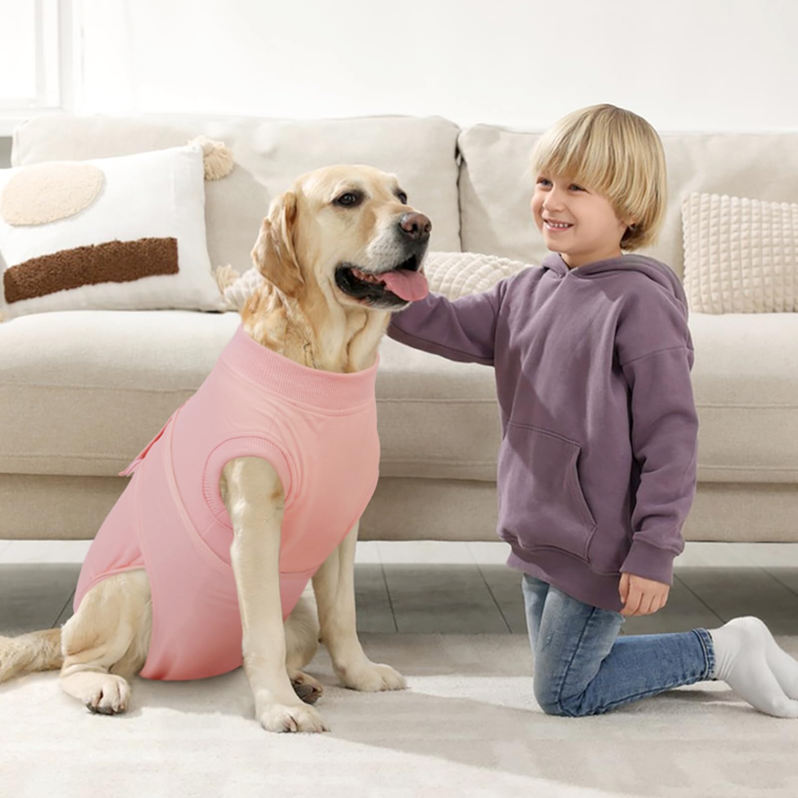 Kuoser, vetement récupération post-chirurgie chien, protège l’incision sans collier.