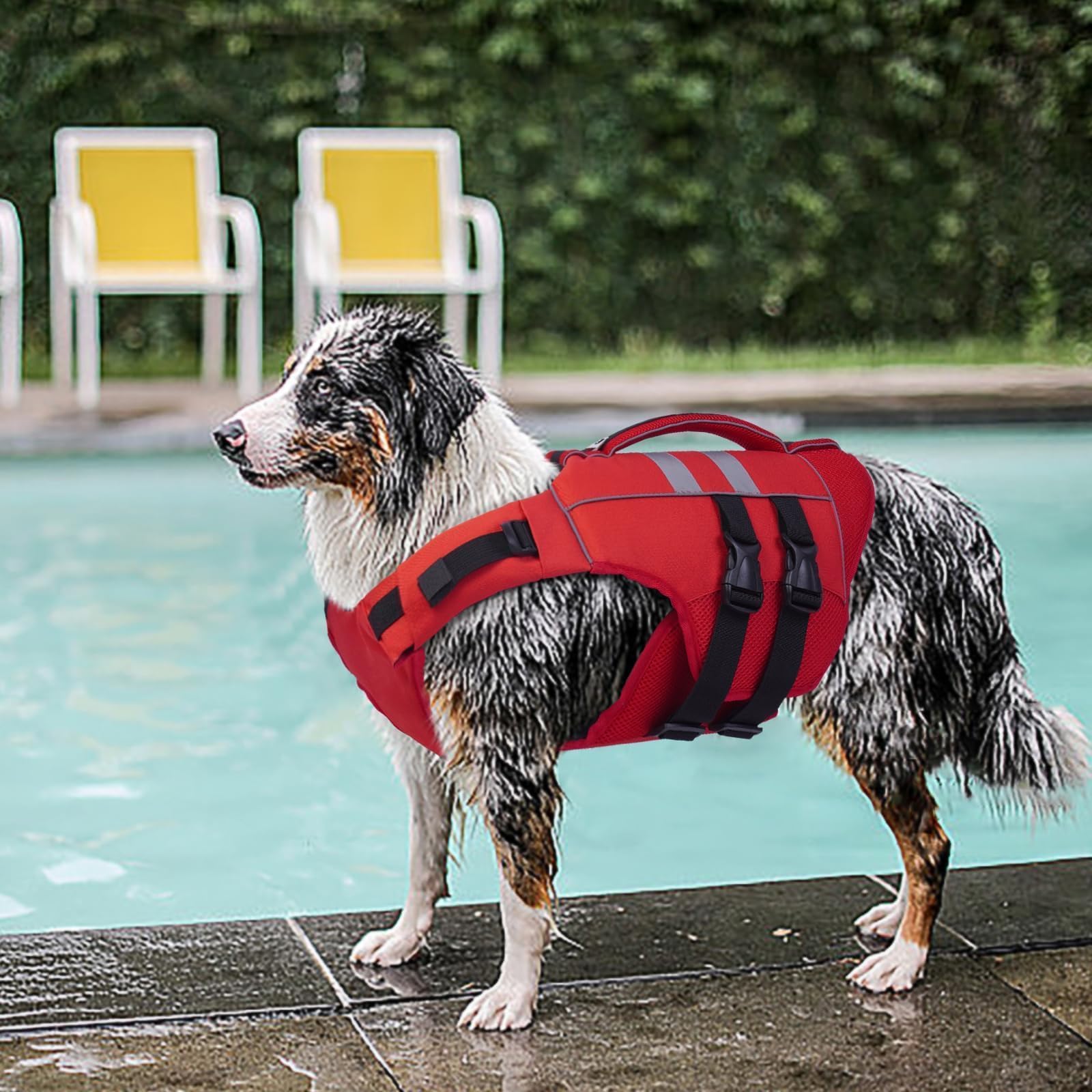 Kuoser XXL gilet-chien rouge, visibilité accrue sur l'eau