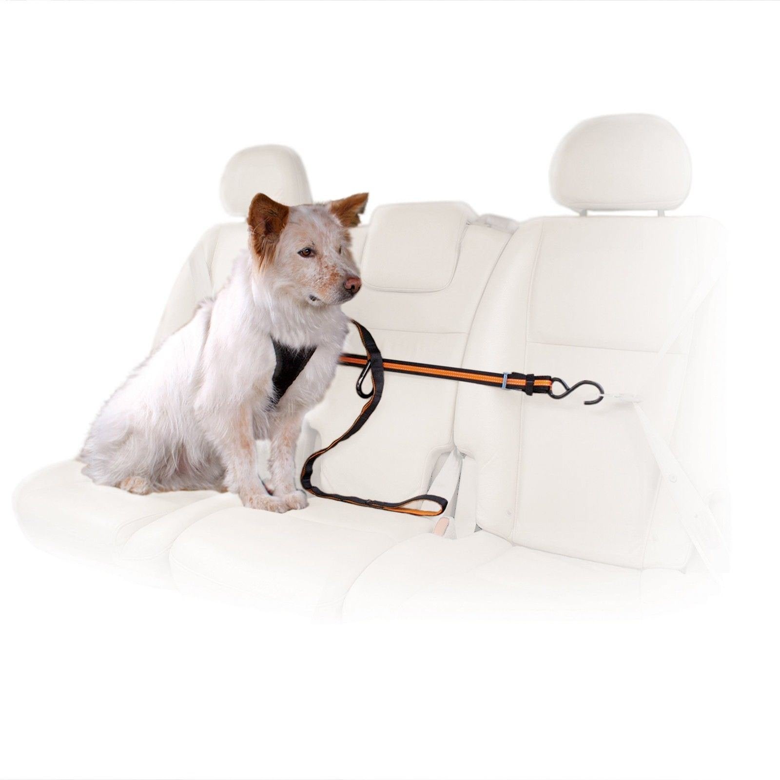 Kurgo: ligne retenue arrière pour chien, sécurité en trajet.