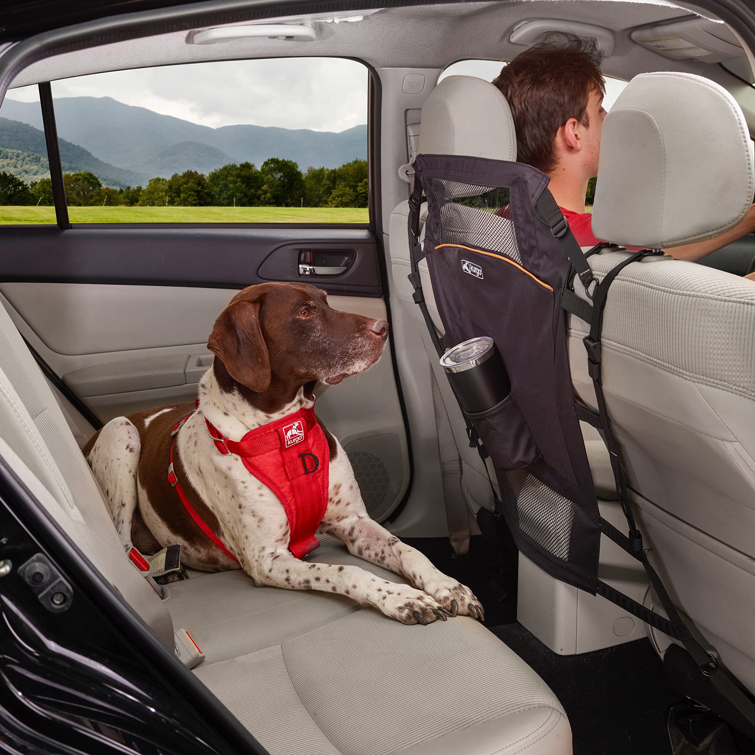 Barrière Kurgo pour banquette arrière idéale pour les trajets quotidiens avec chien.