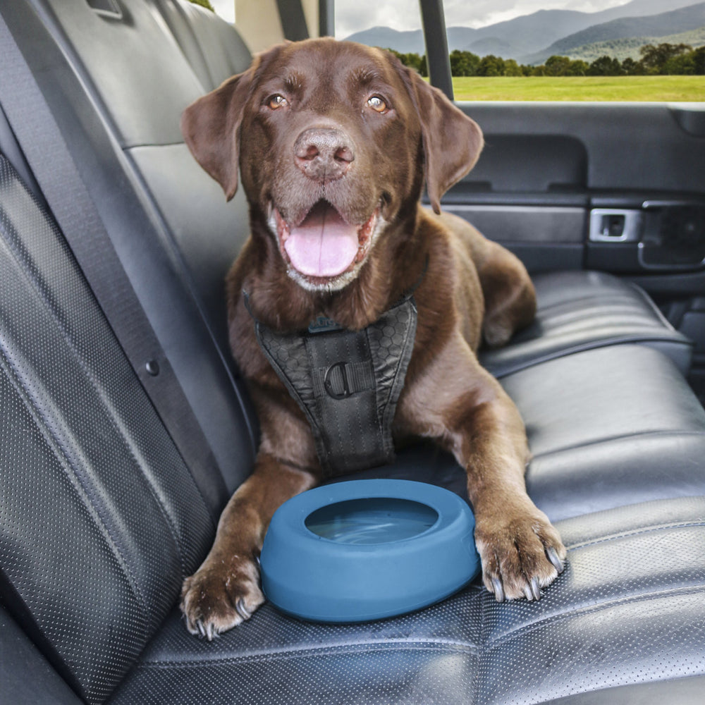 Bol Kurgo eau pour chien transport 24oz, pratique et sans degat
