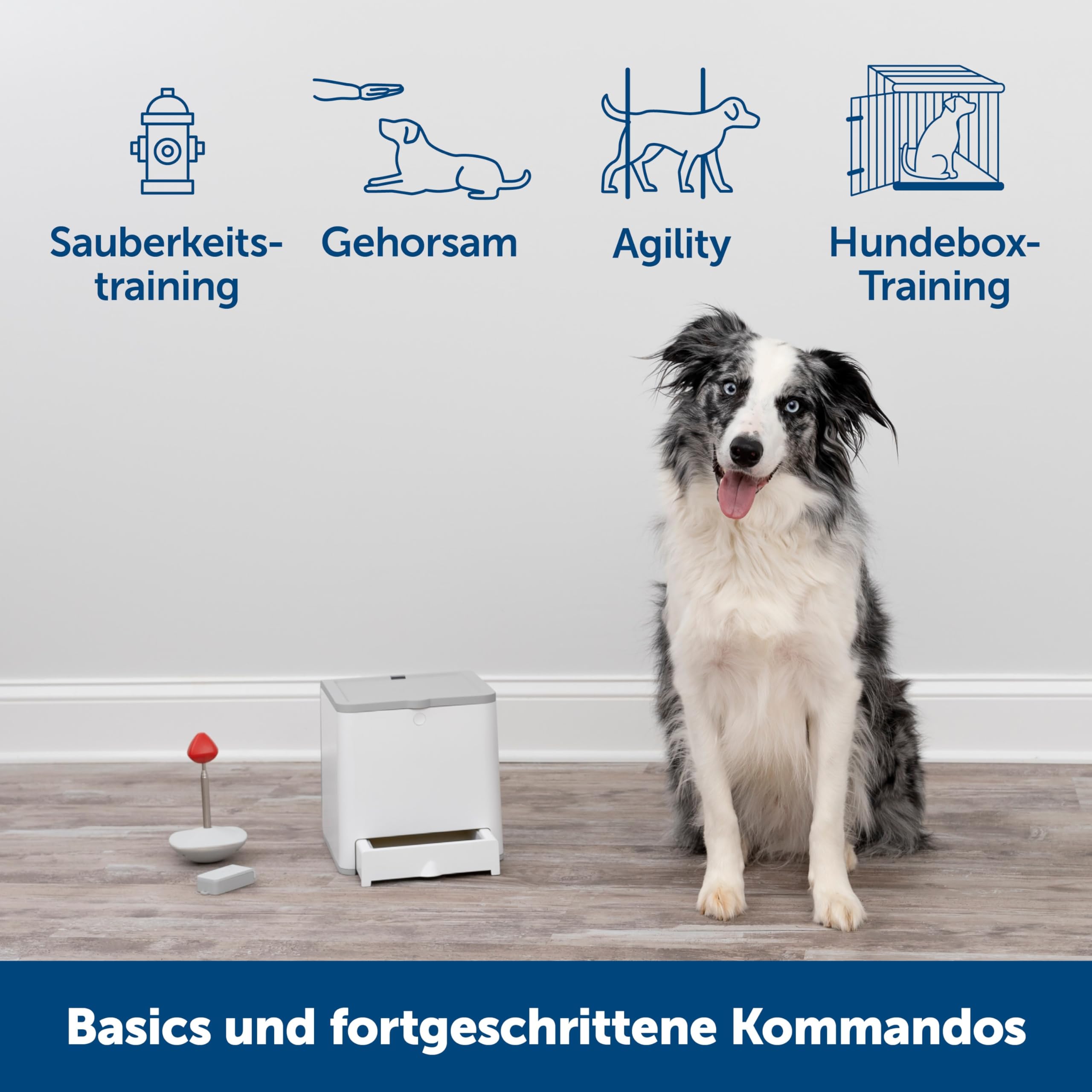 Bol voyage chien securite et hydratation