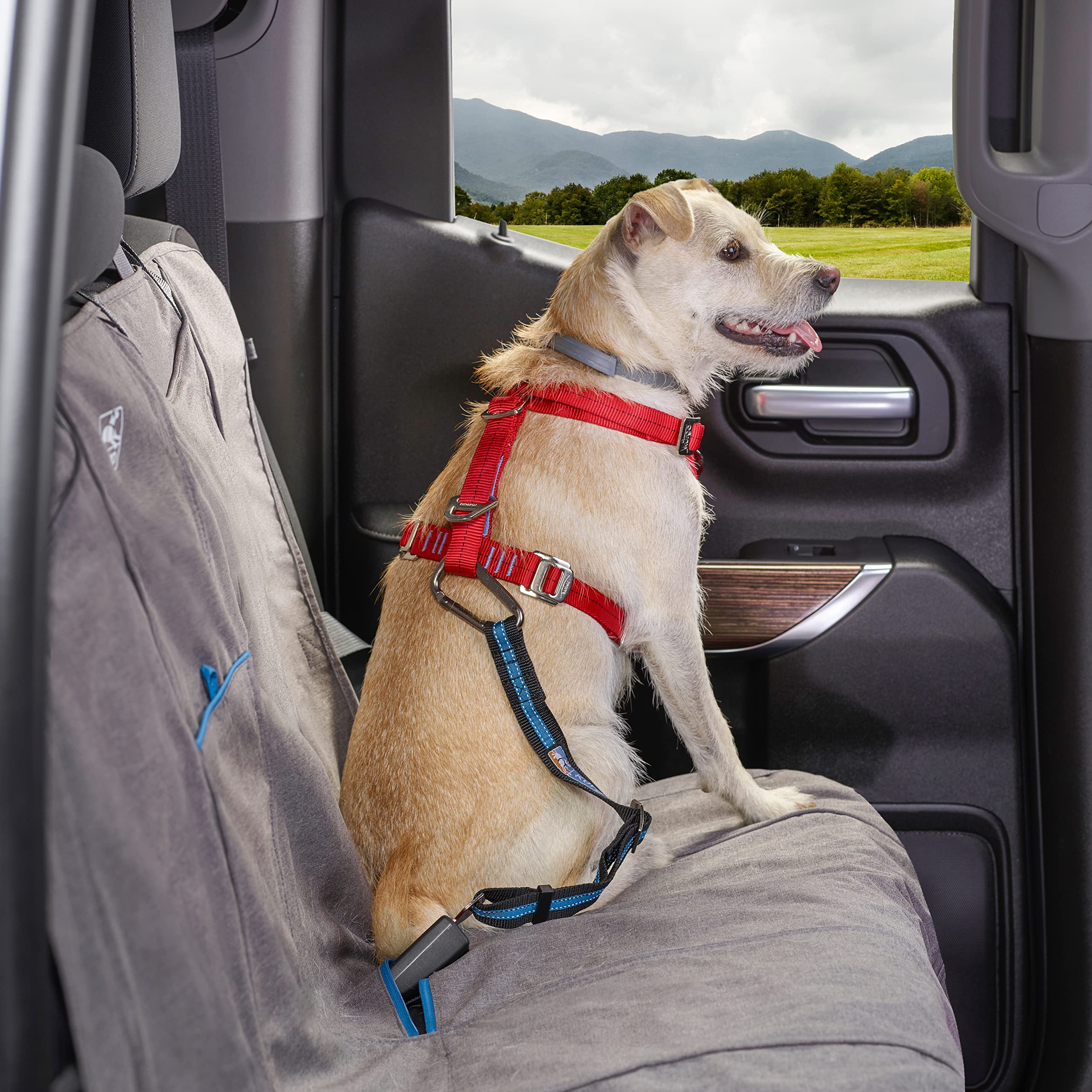 Kurgo Direct: retenue arrière chien pour trajets plus sûrs.