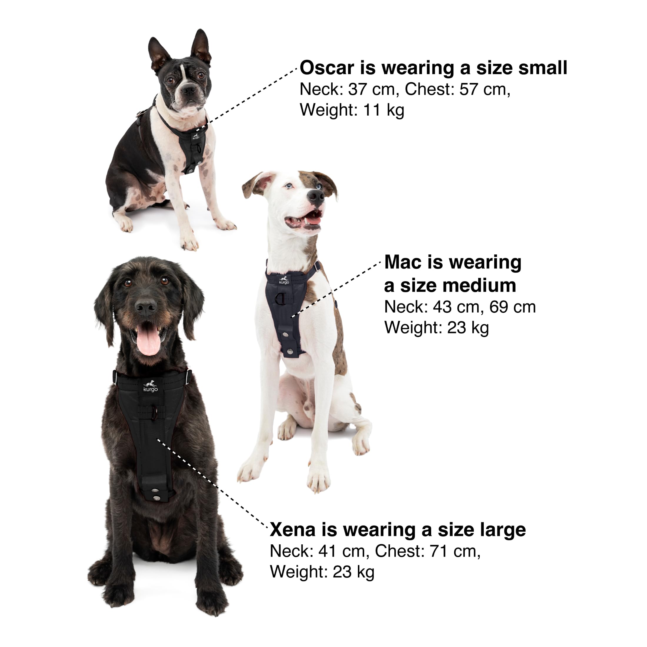 Kurgo double-attaches-laisse : options dos et poitrine pour marche ou entraînement.