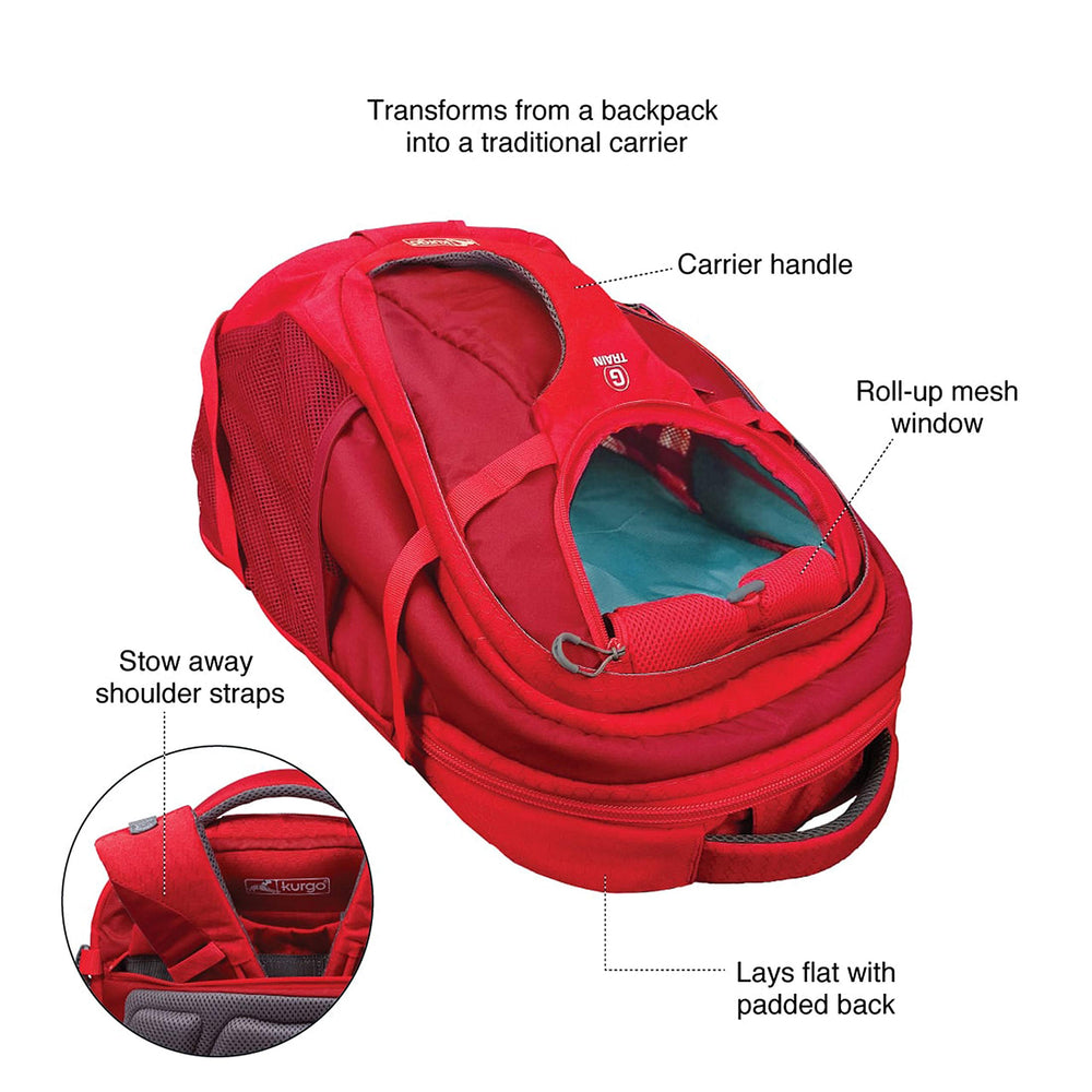 Ouverture mesh haut du Kurgo G-Train pour visibilité et ventilation