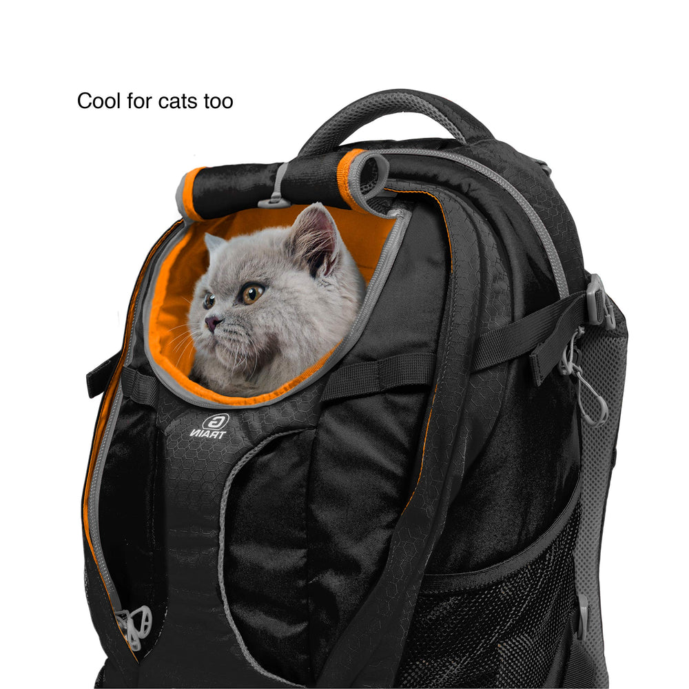 Kurgo G-Train porte-chien escamotable pour transport pratique.