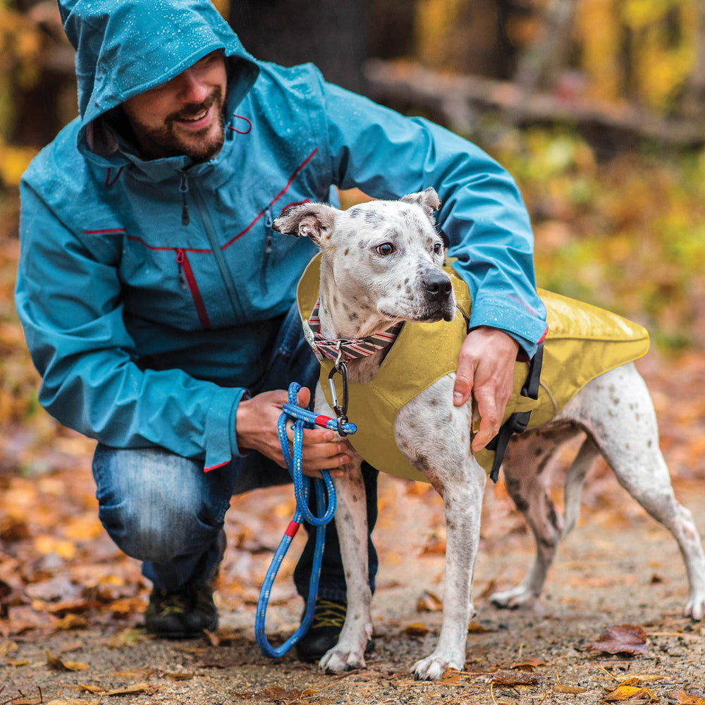Kurgo Halifax Rain Shell, détails réfléchissants pour meilleure visibilité nocturne.