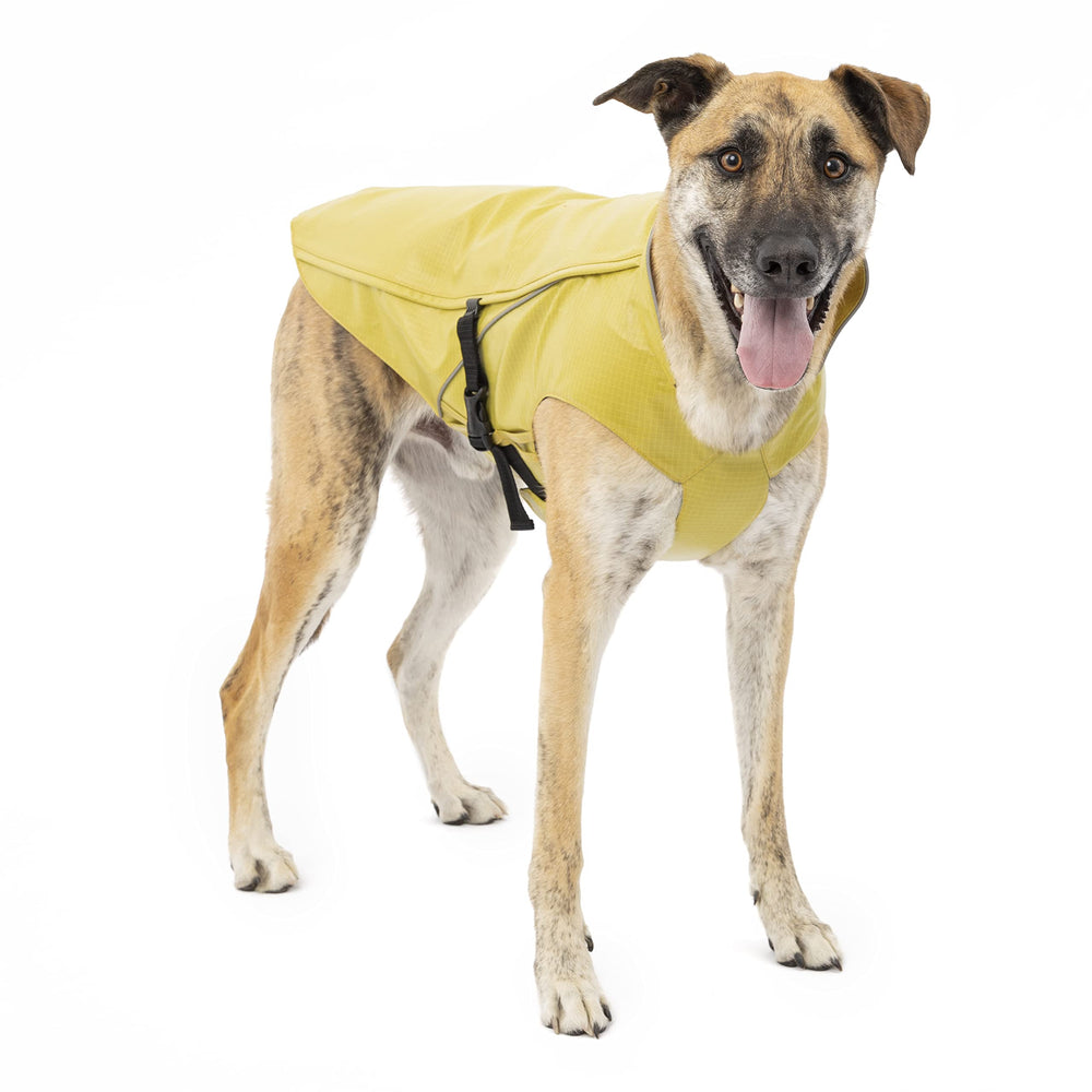 Kurgo Halifax Rain Shell, veste imperméable pour chien, prête à affronter la pluie.