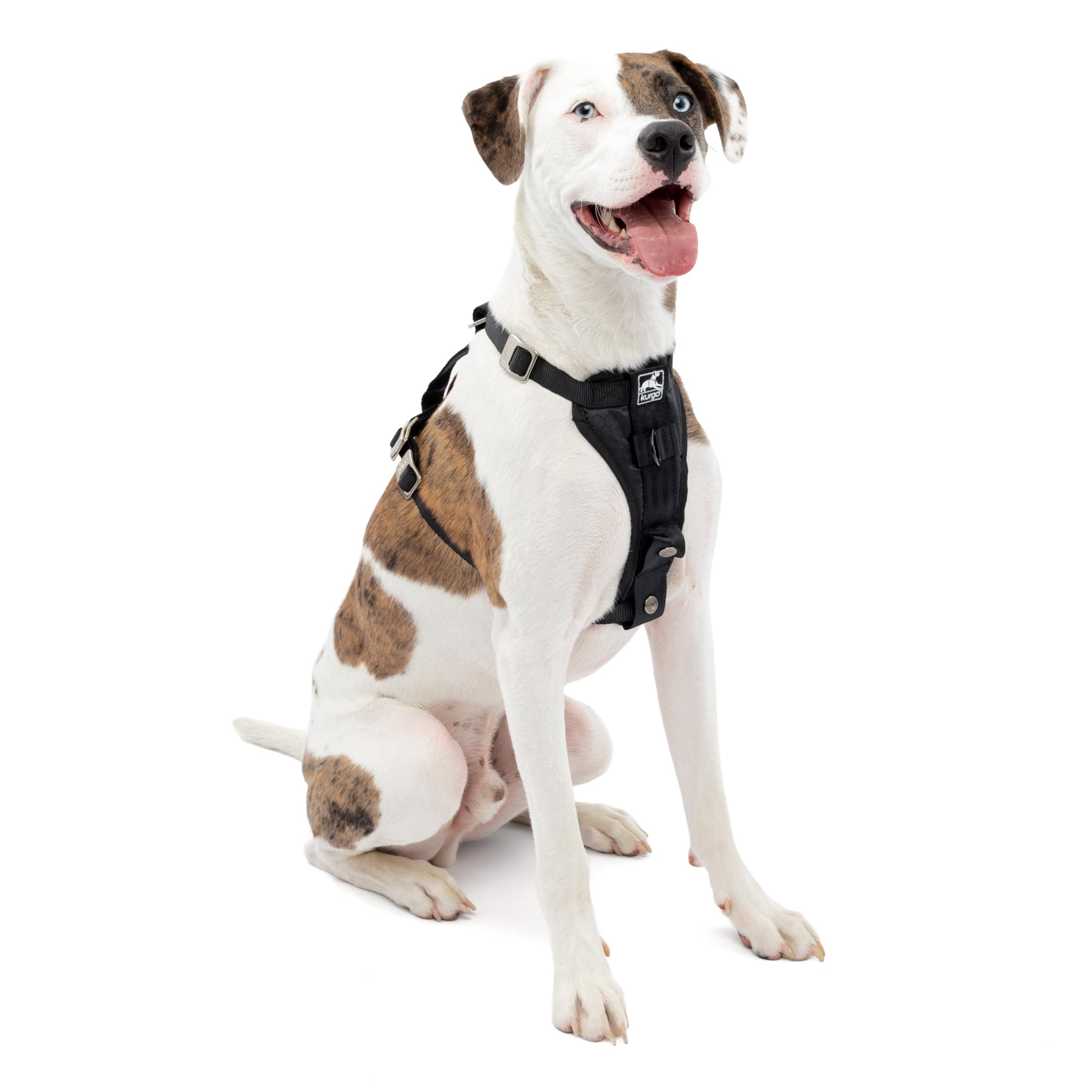 Kurgo harnais-chien-auto-tru-fit-renforce : sécurité en voyage et confort durable.