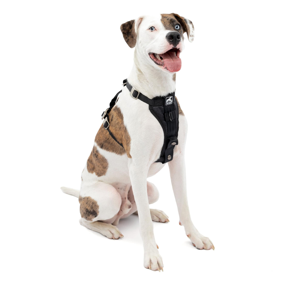 Kurgo harnais-chien-auto-tru-fit-renforce : sécurité en voyage et confort durable.