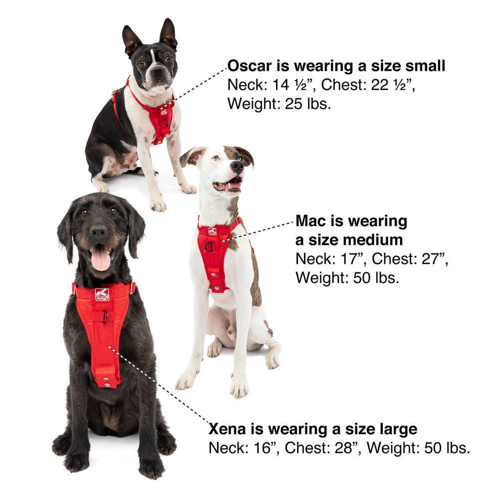 Kurgo Tru-Fit sangle ceinture et mousqueton en acier pour attacher rapidement.