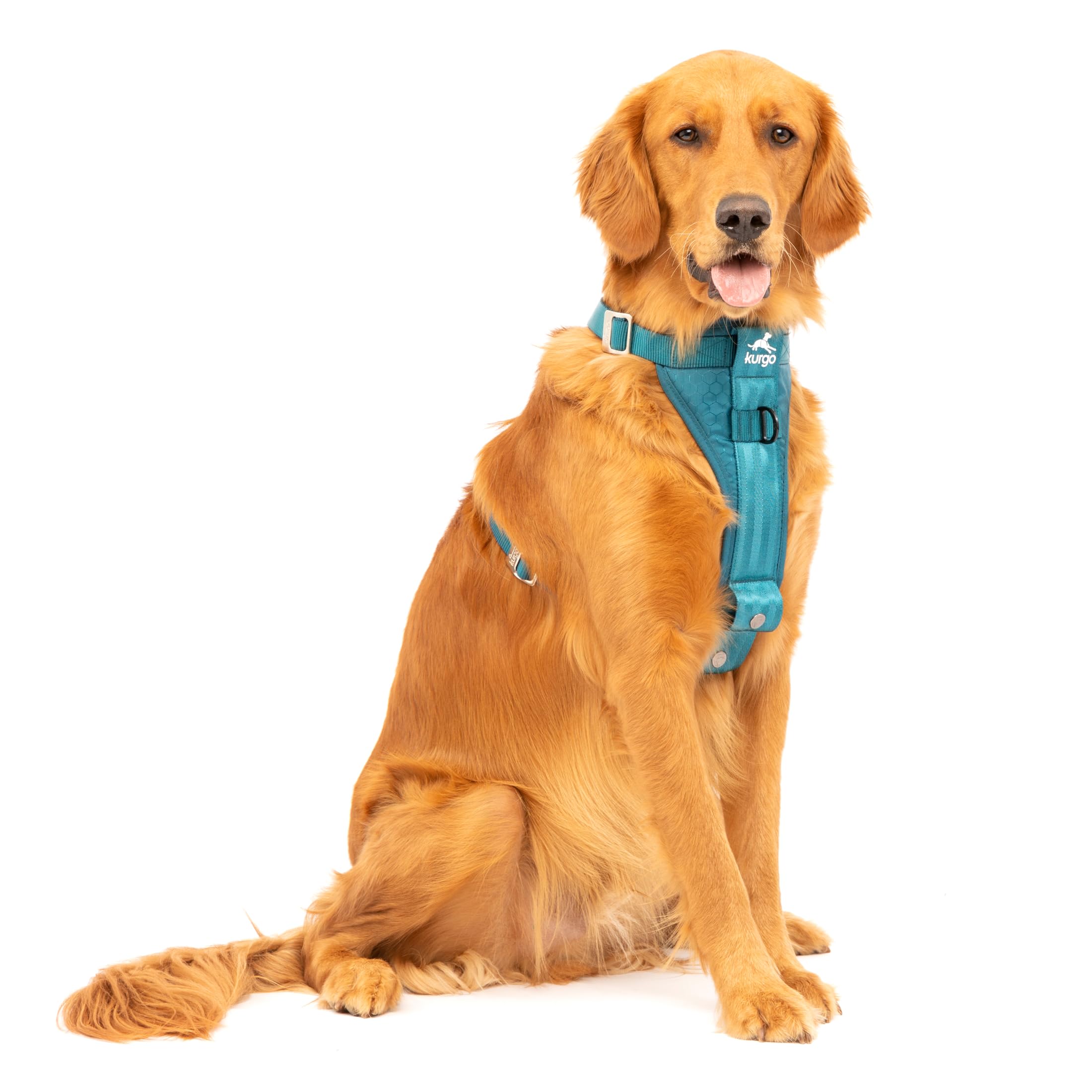Kurgo Tru-Fit harnais voiture: sécurité renforcée pour chien pendant les trajets.